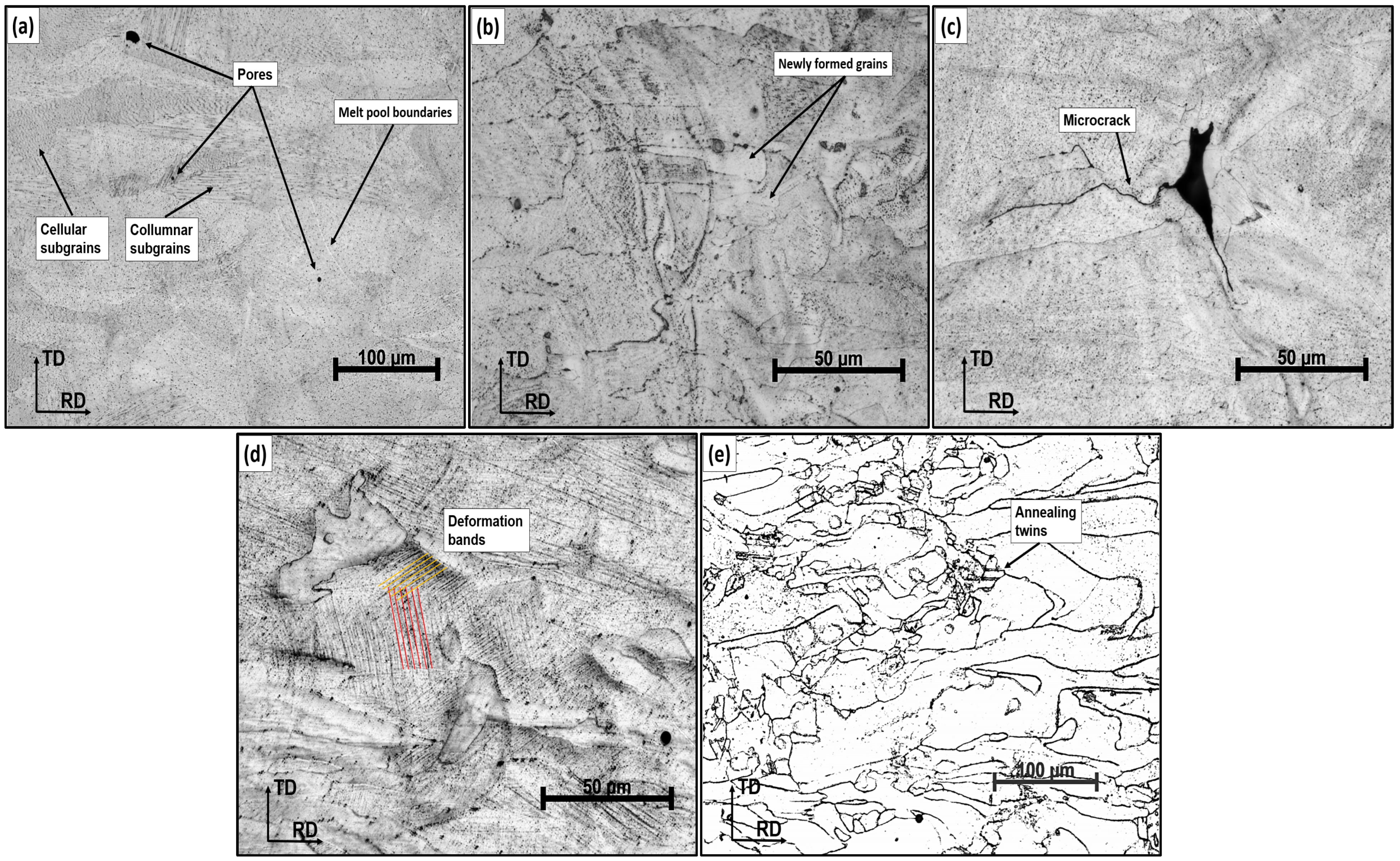 Metals 15 00789 g008