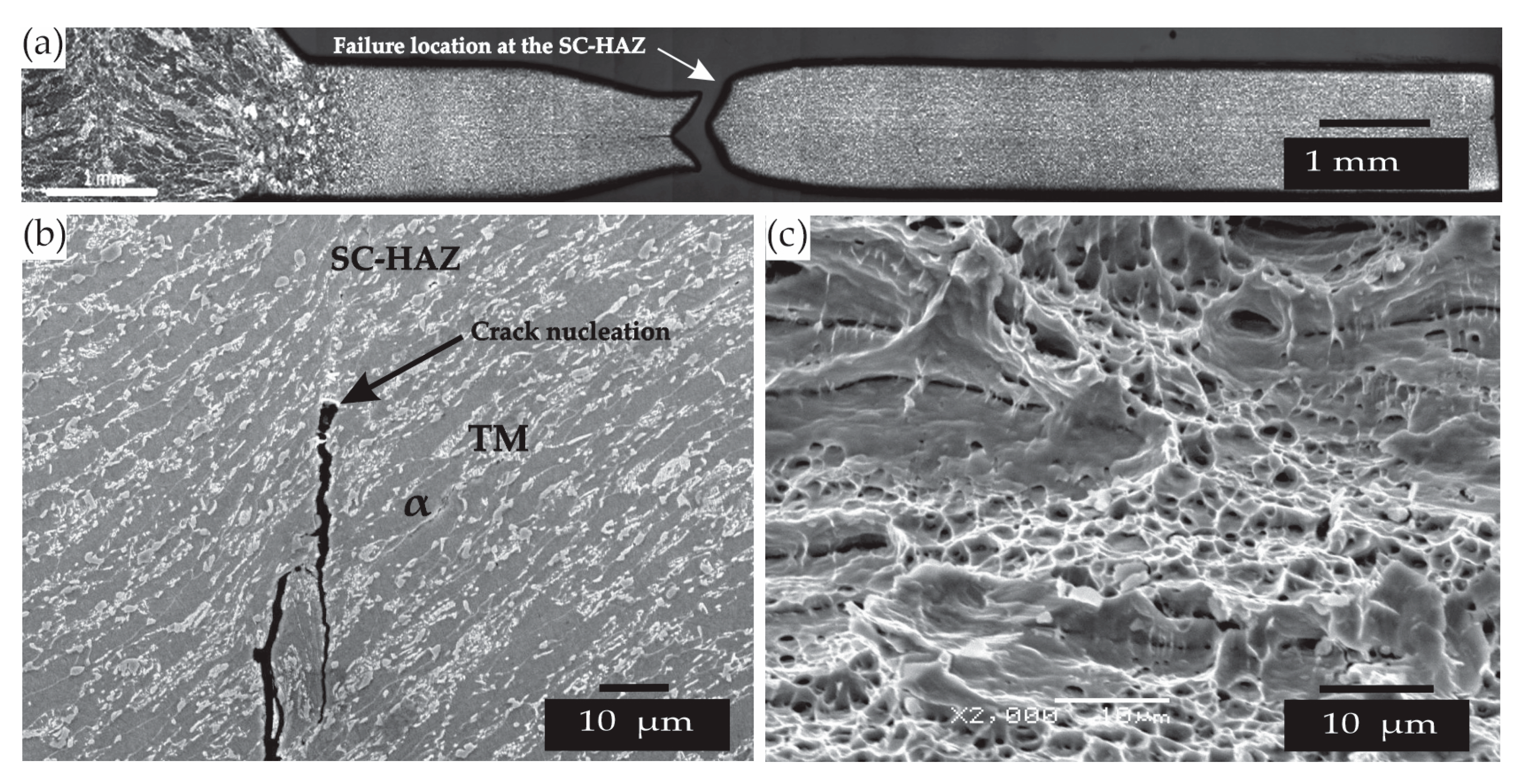 Metals 15 00791 g008
