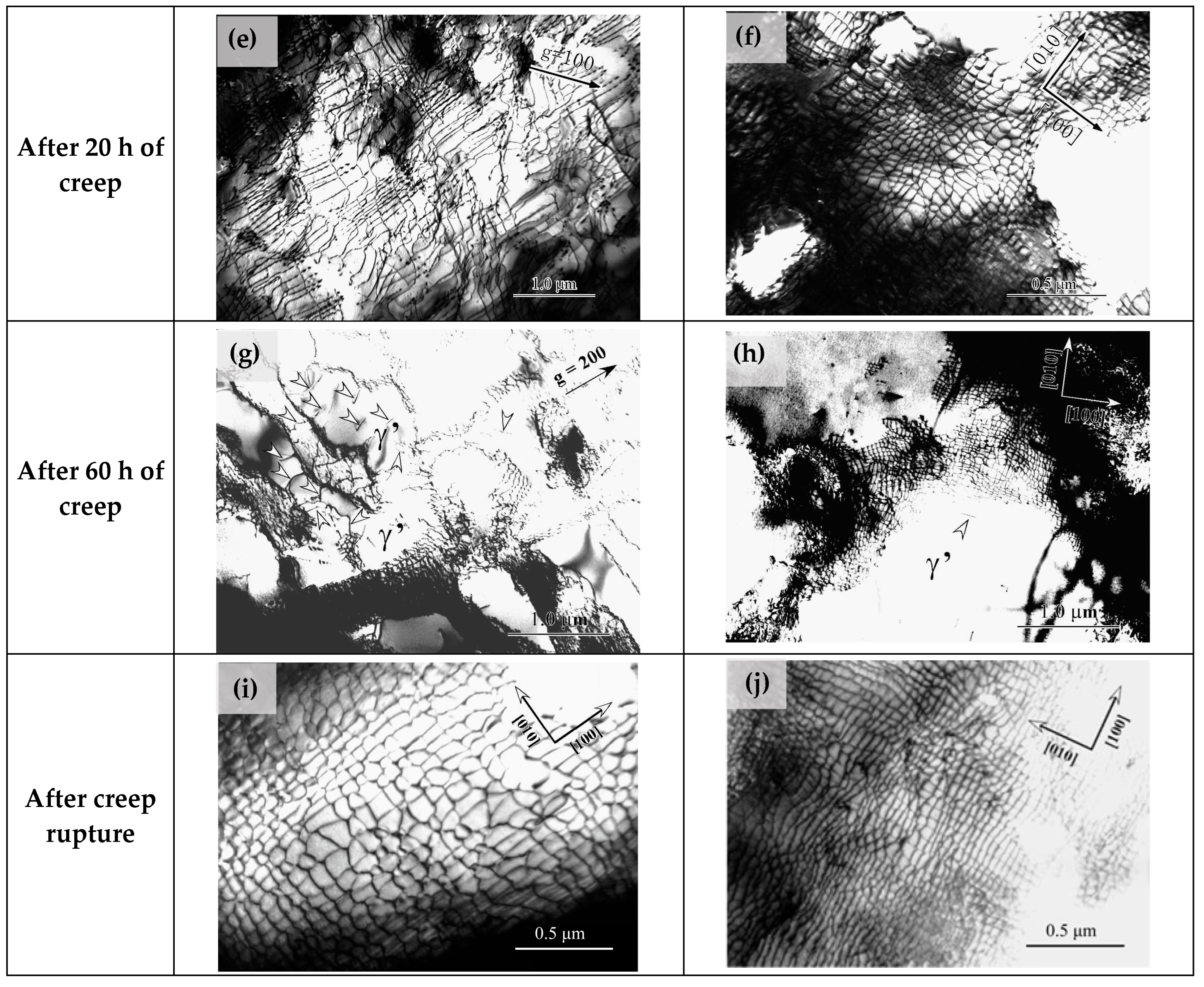 Metals 15 00793 g014b
