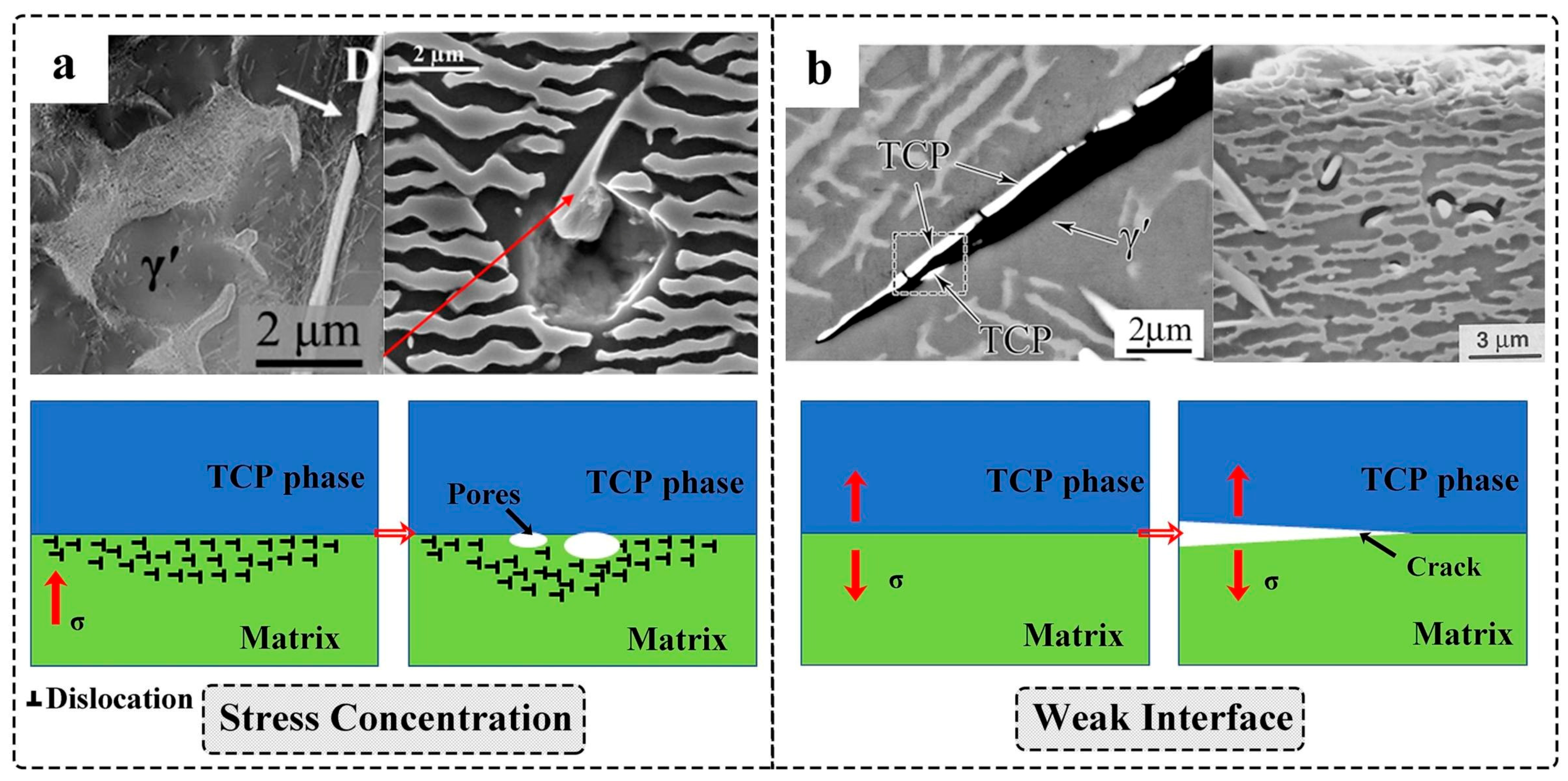 Metals 15 00793 g016