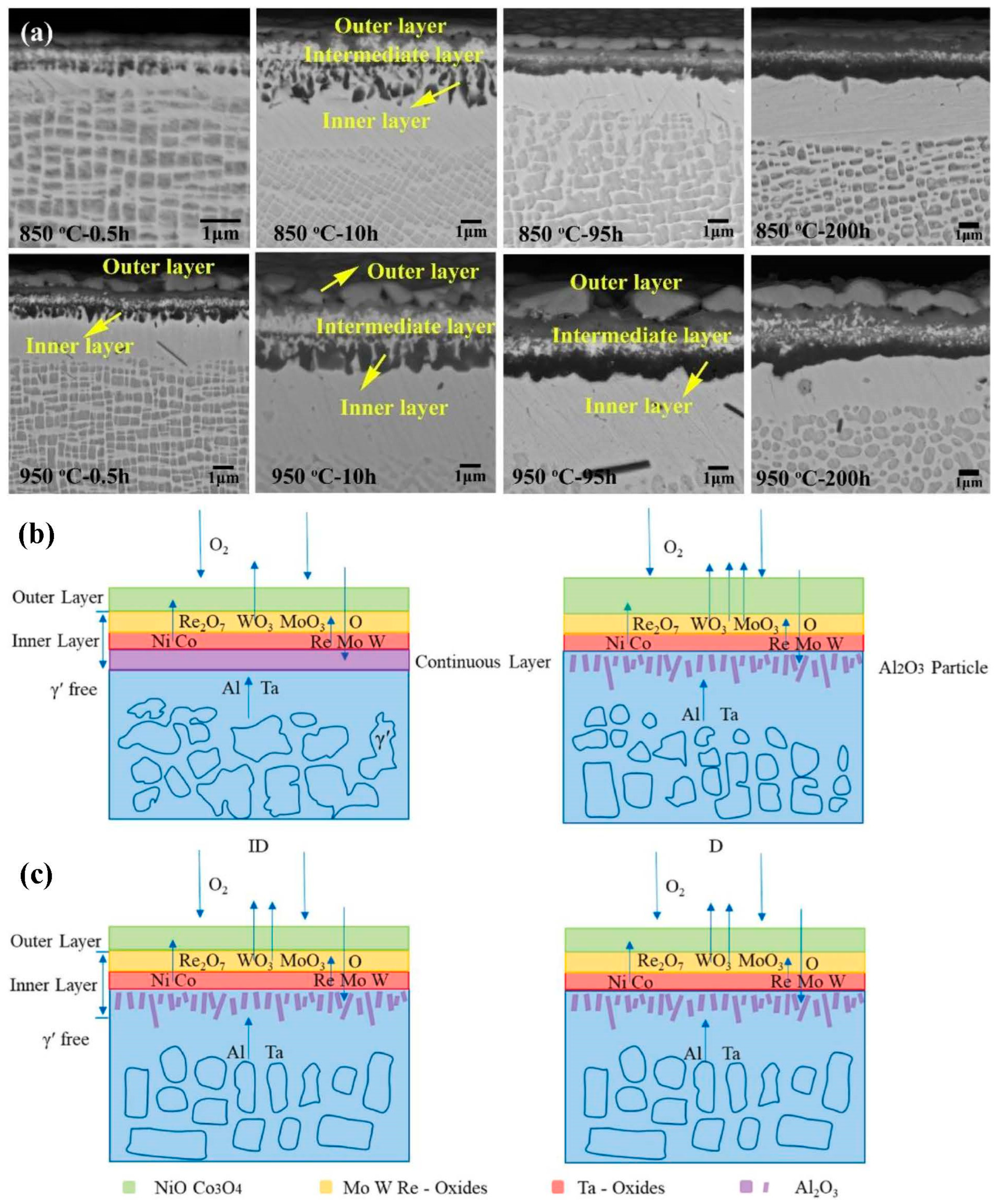 Metals 15 00793 g018