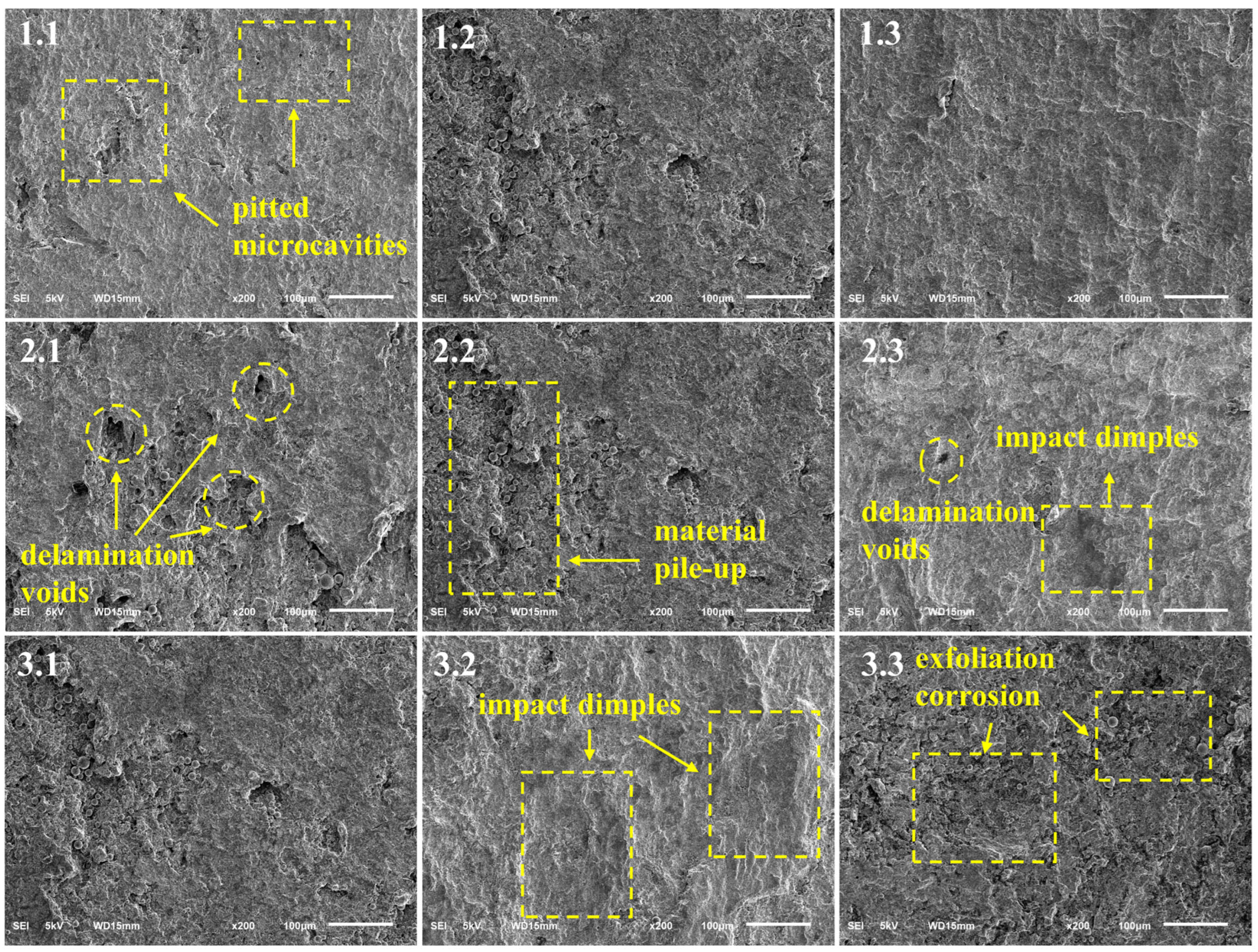 Metals 15 00796 g005