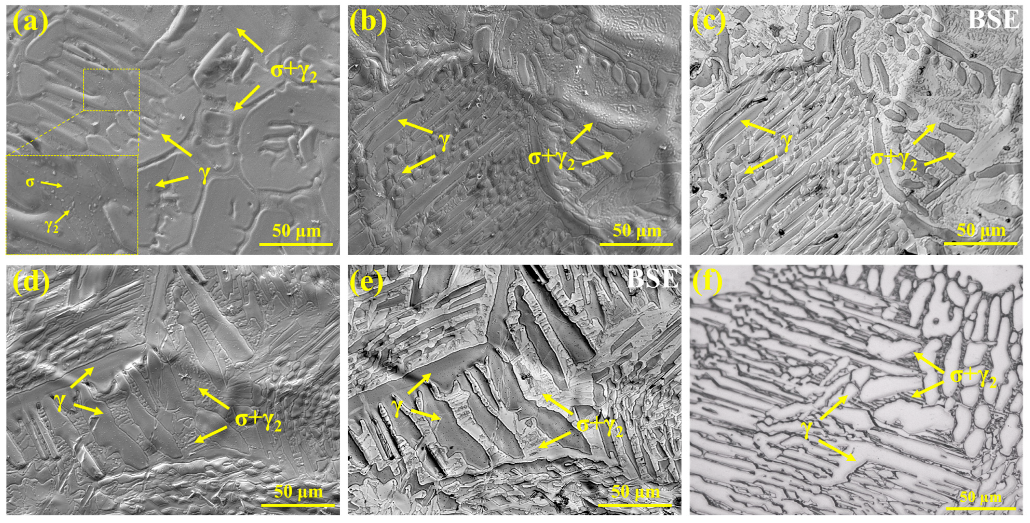 Metals 15 00798 g013
