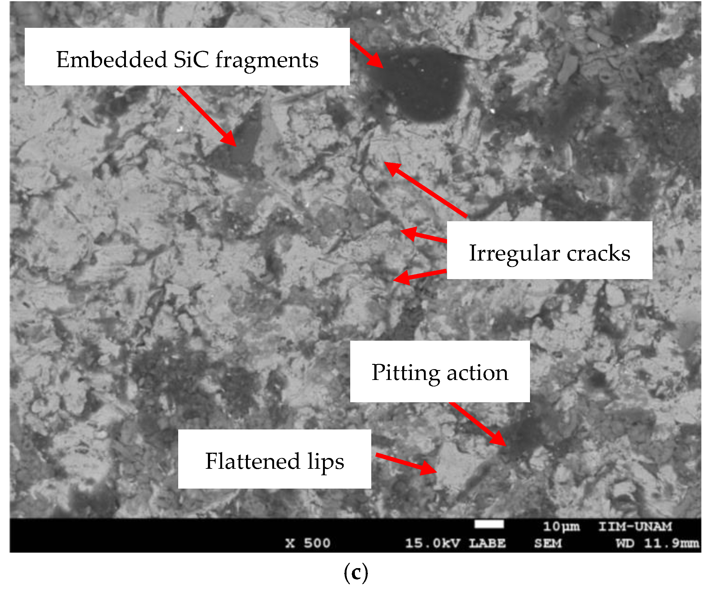 Metals 15 00800 g002c