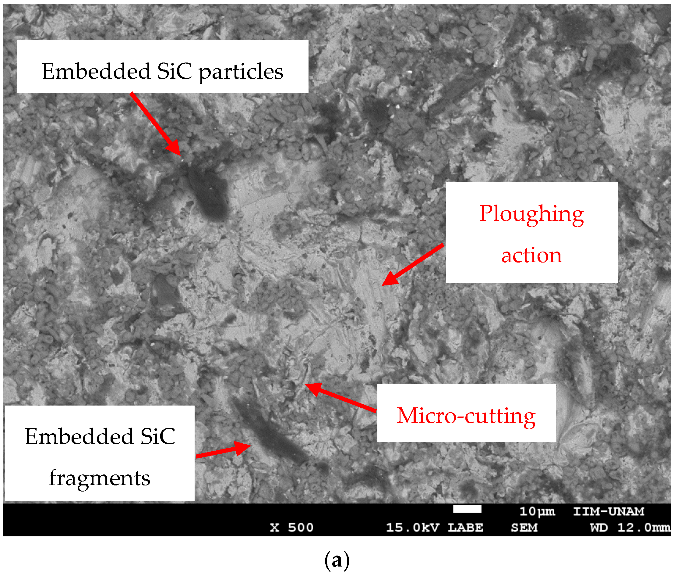 Metals 15 00800 g003a