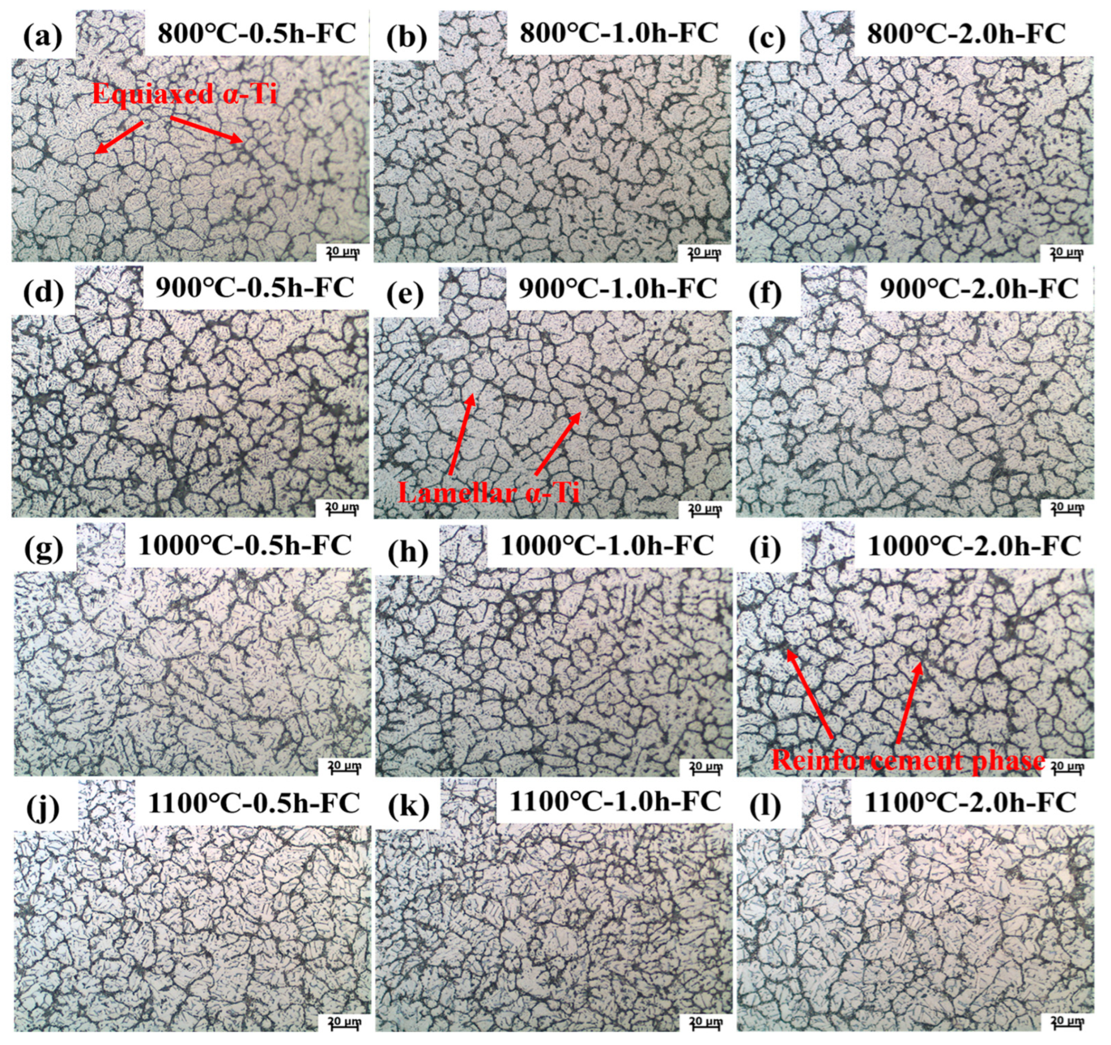 Metals 15 00806 g004