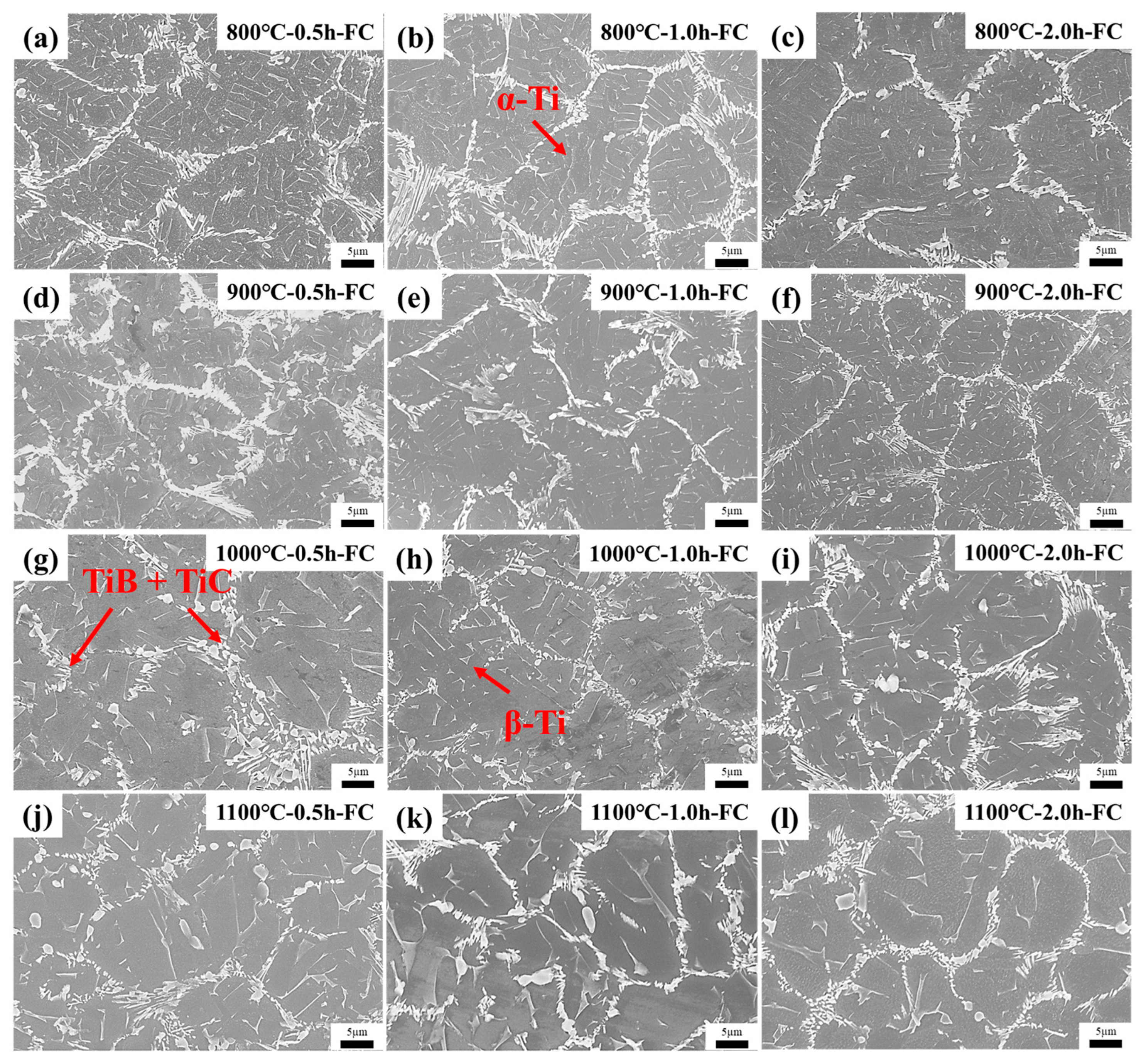 Metals 15 00806 g005