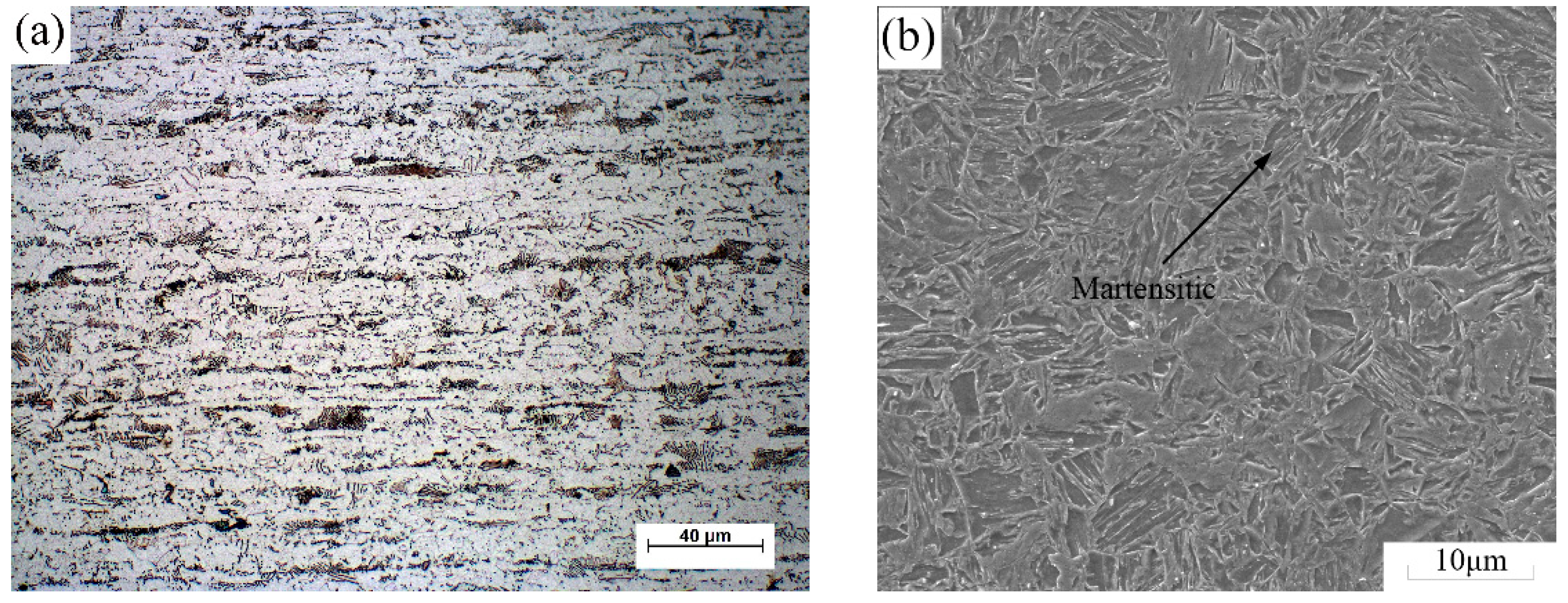 Metals 15 00811 g001