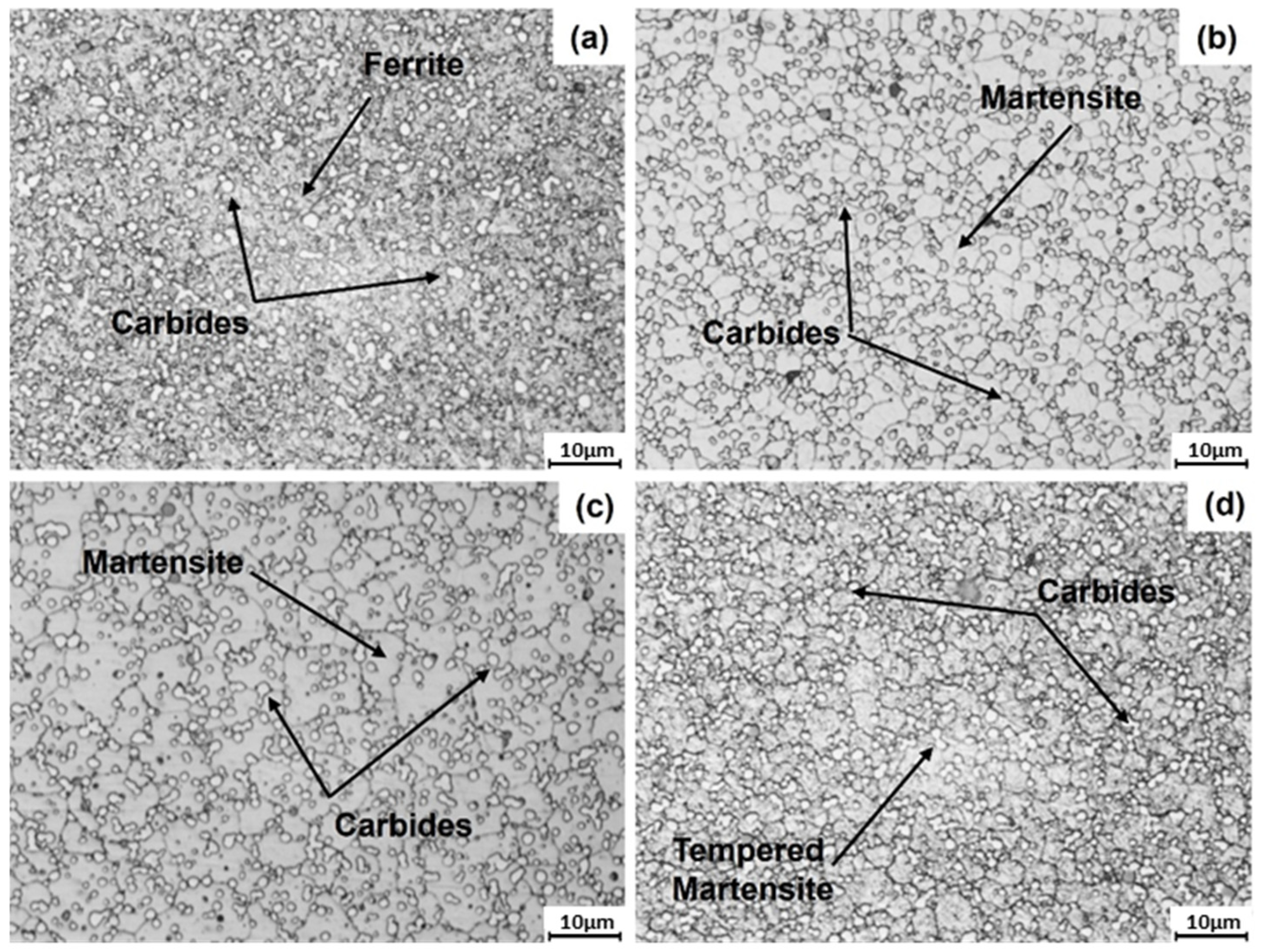 Metals 15 00818 g006