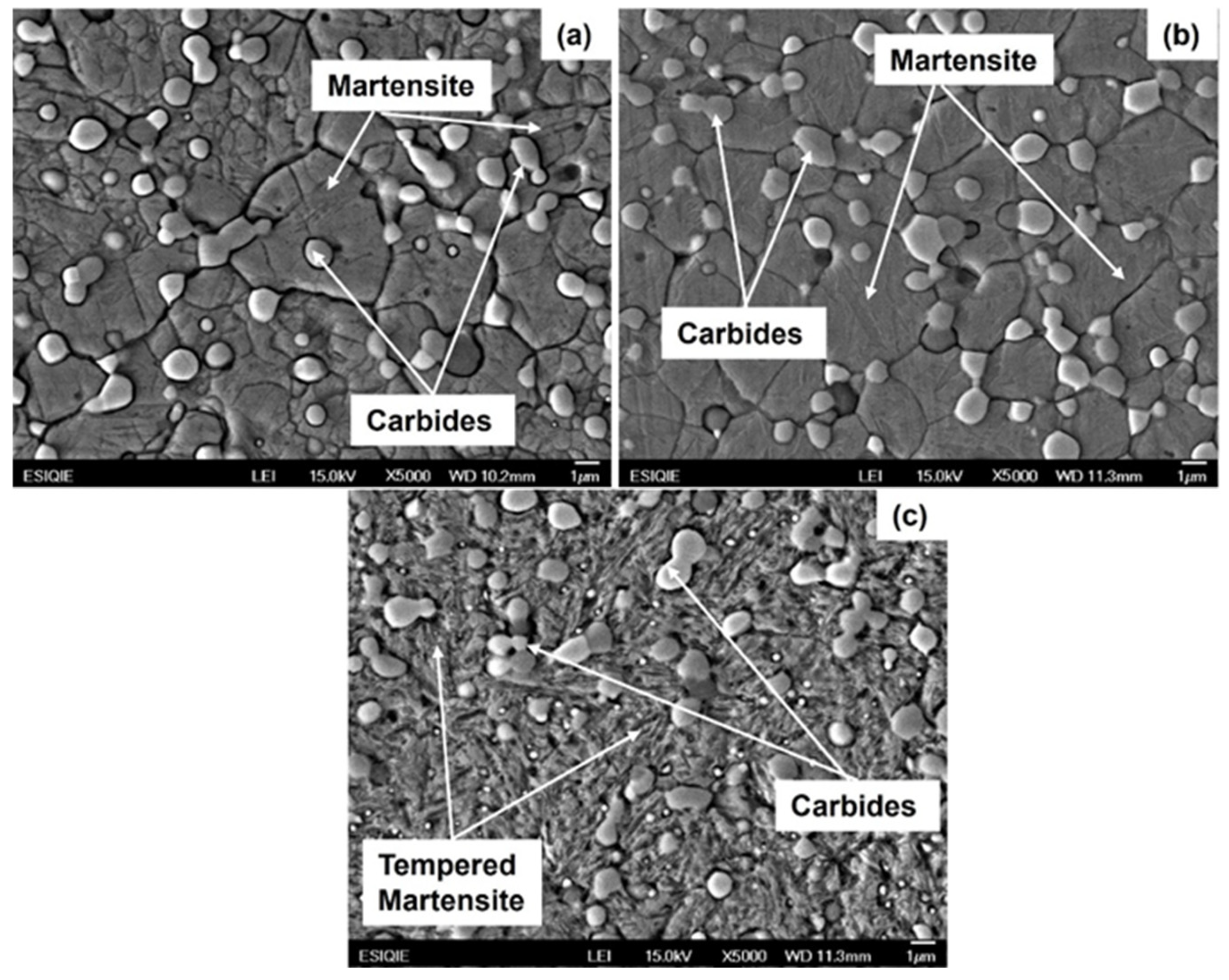 Metals 15 00818 g009