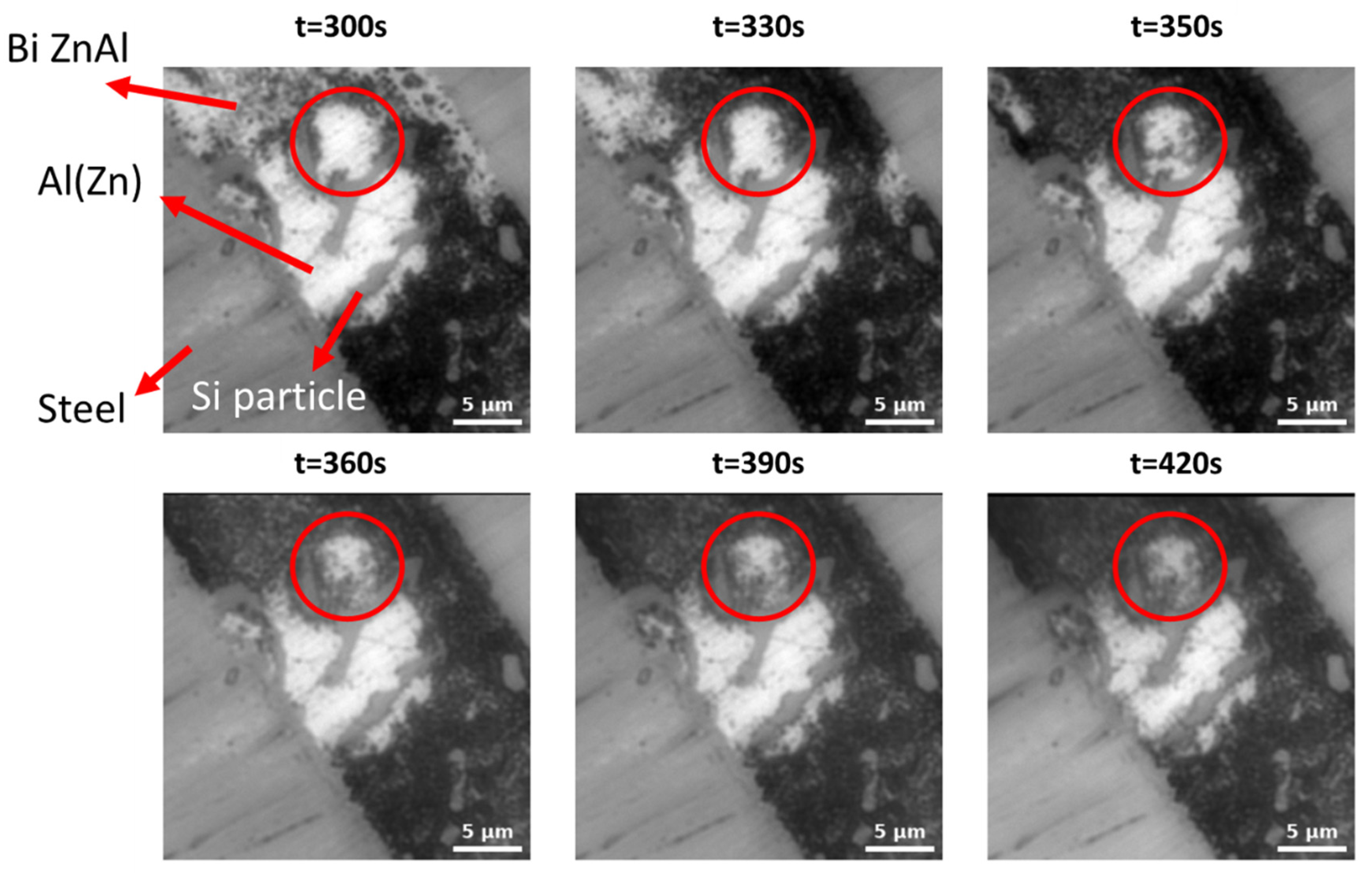 Metals 15 00821 g012