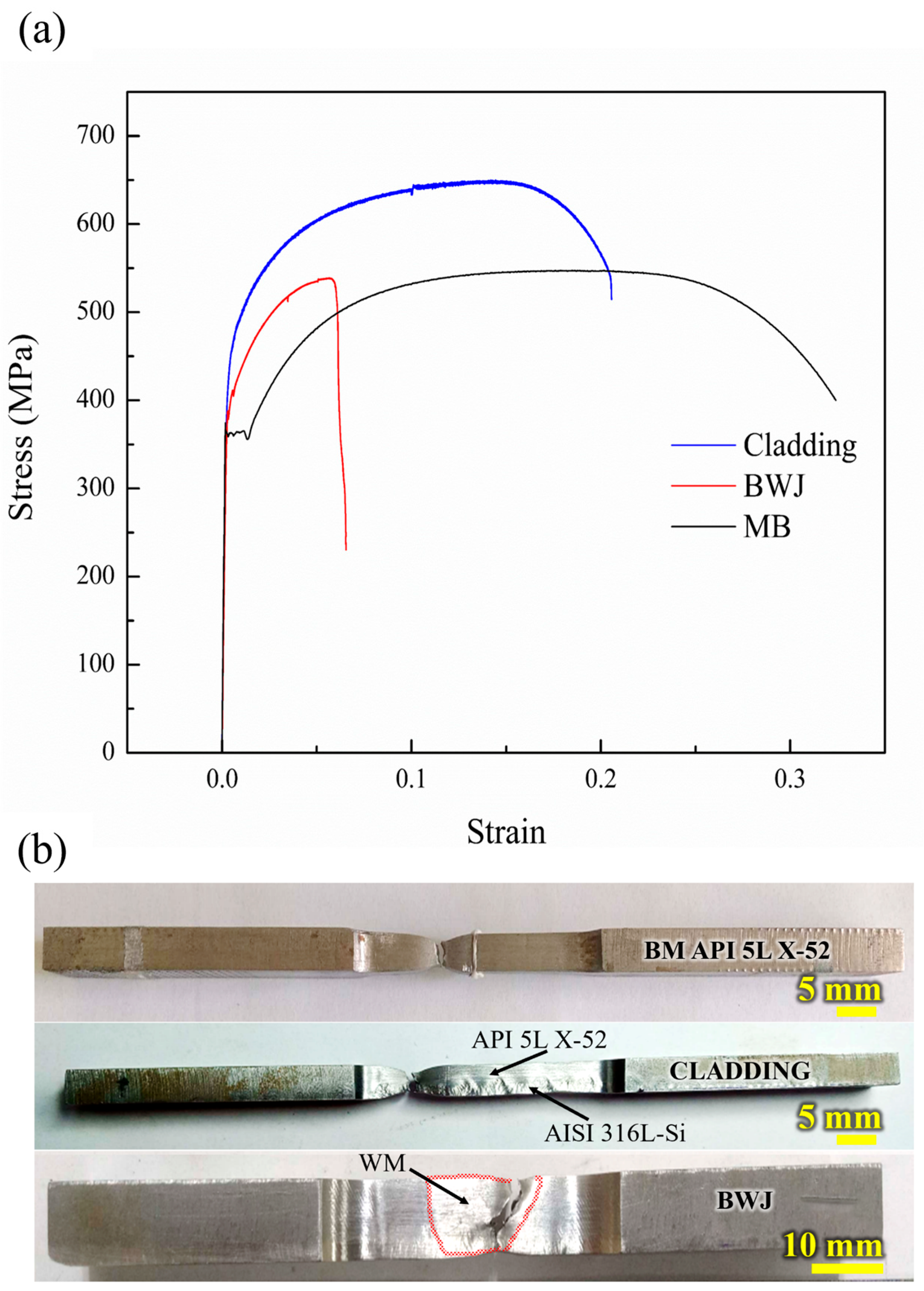 Metals 15 00824 g010