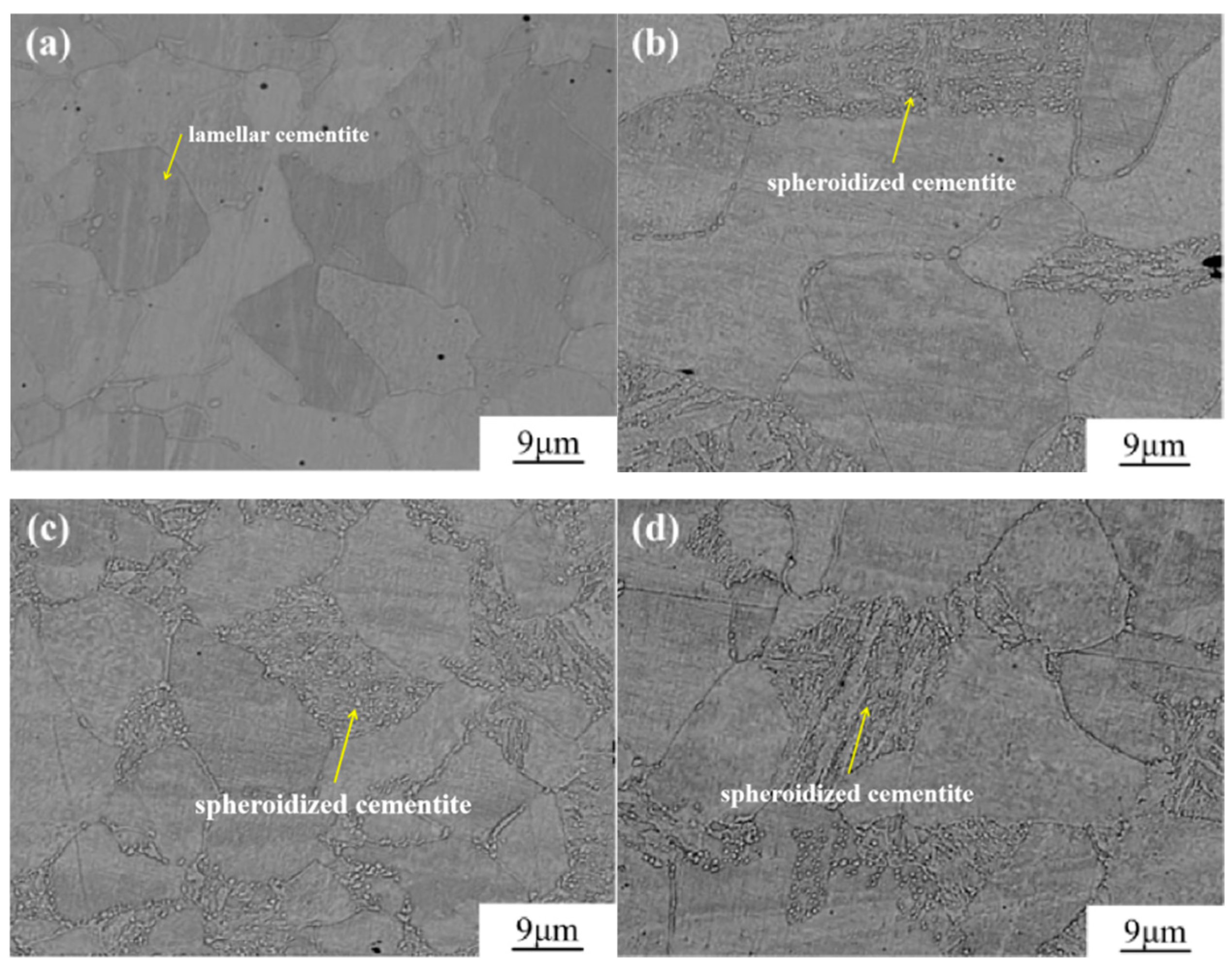 Metals 15 00833 g005