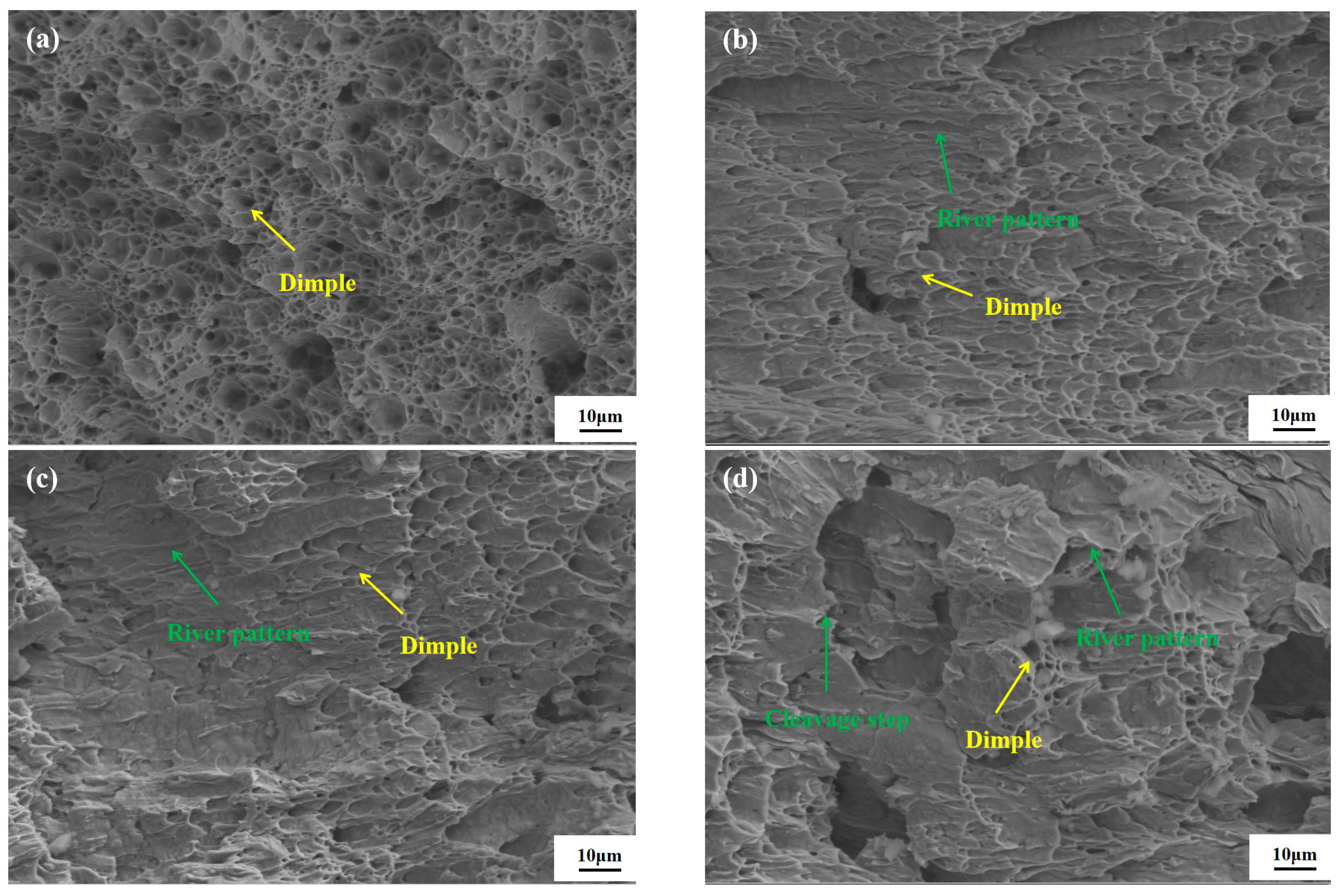 Metals 15 00833 g010