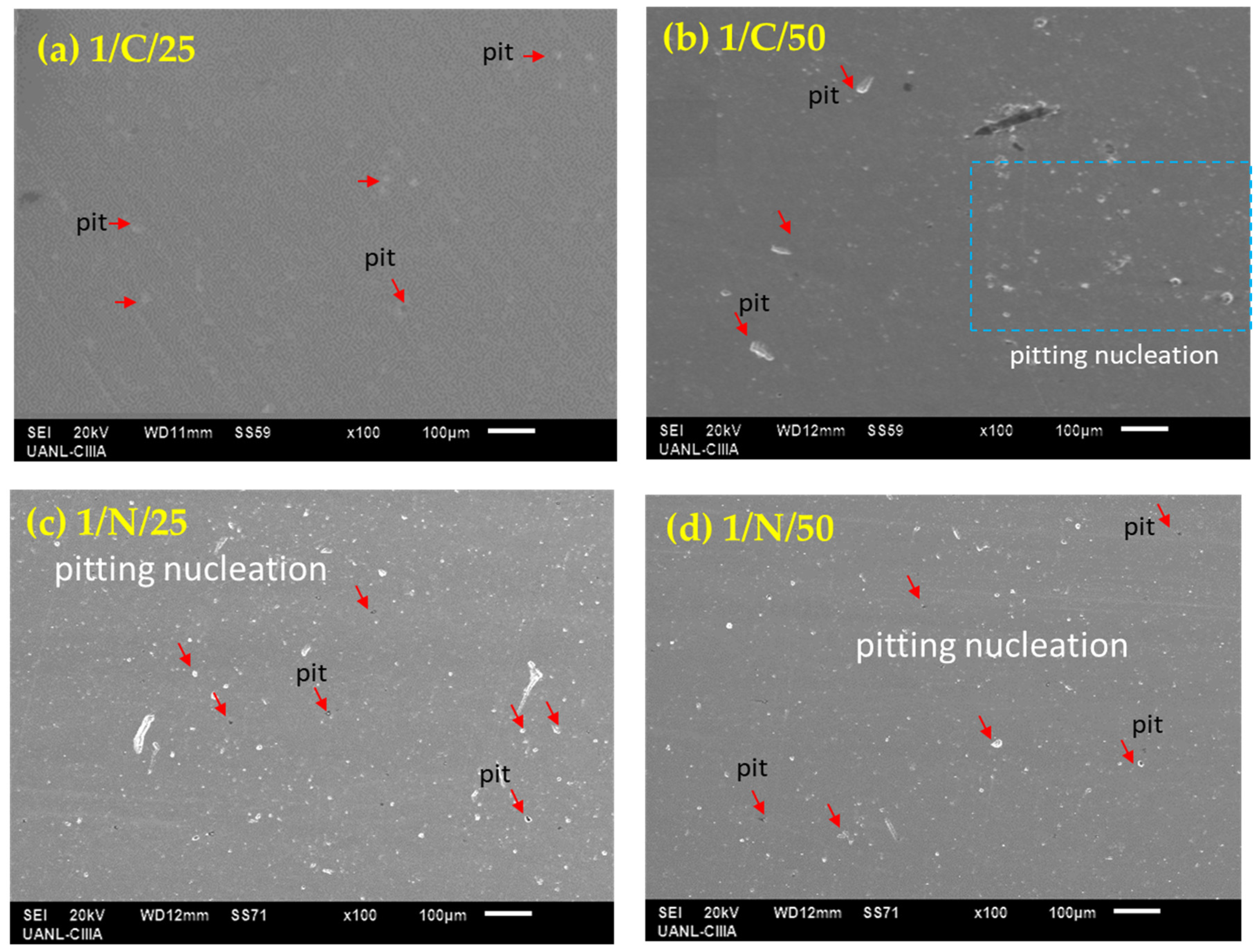 Metals 15 00837 g007