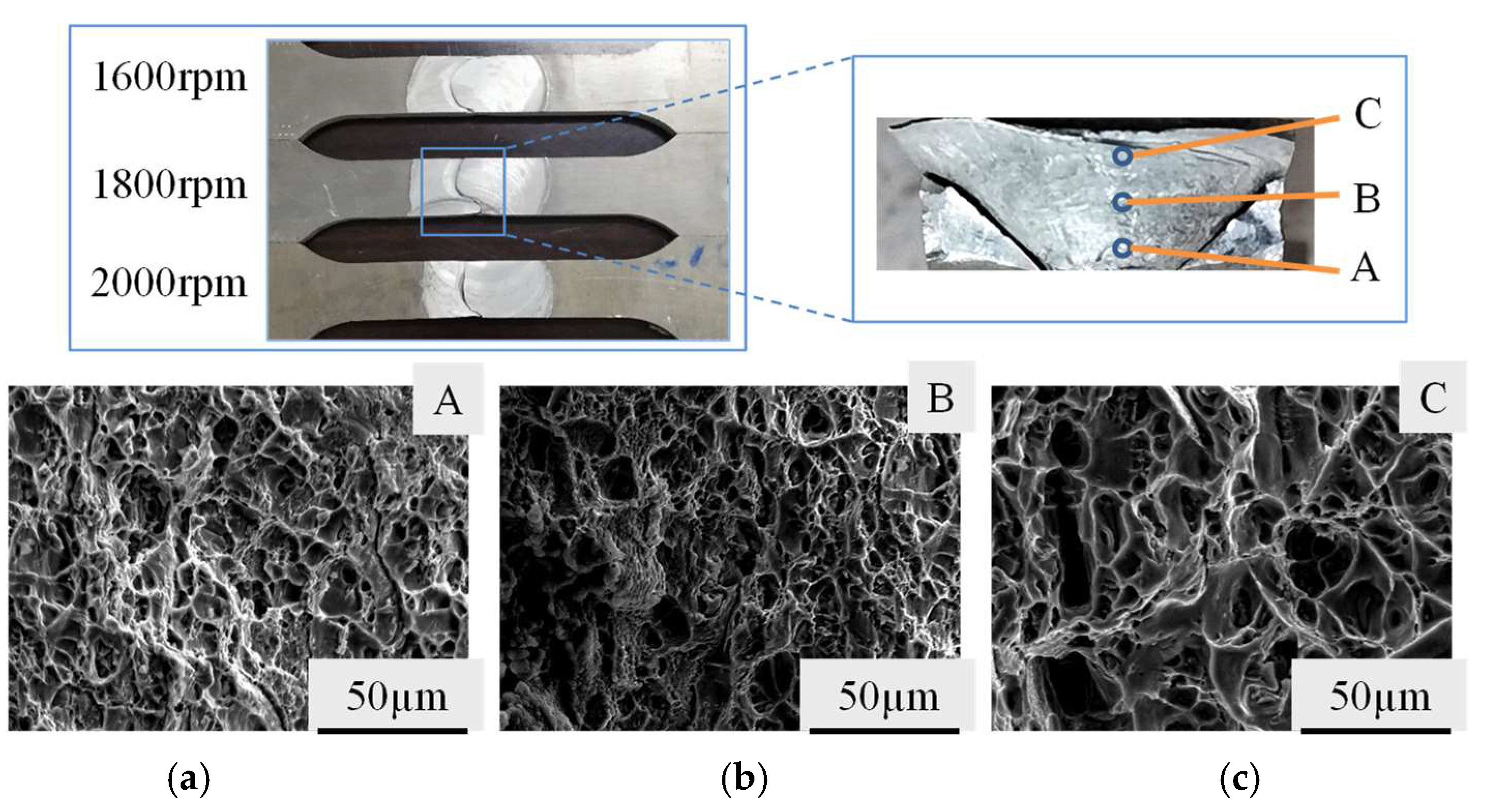 Metals 15 00838 g009