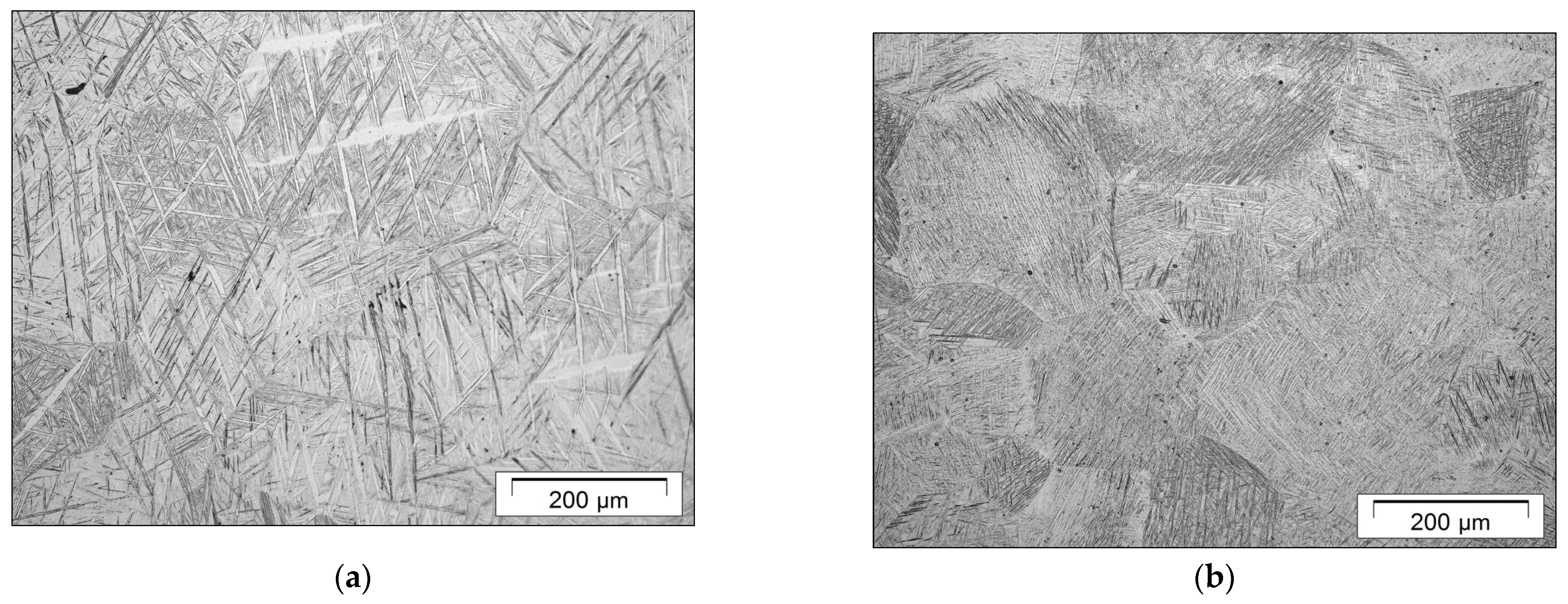 Metals 15 00839 g001