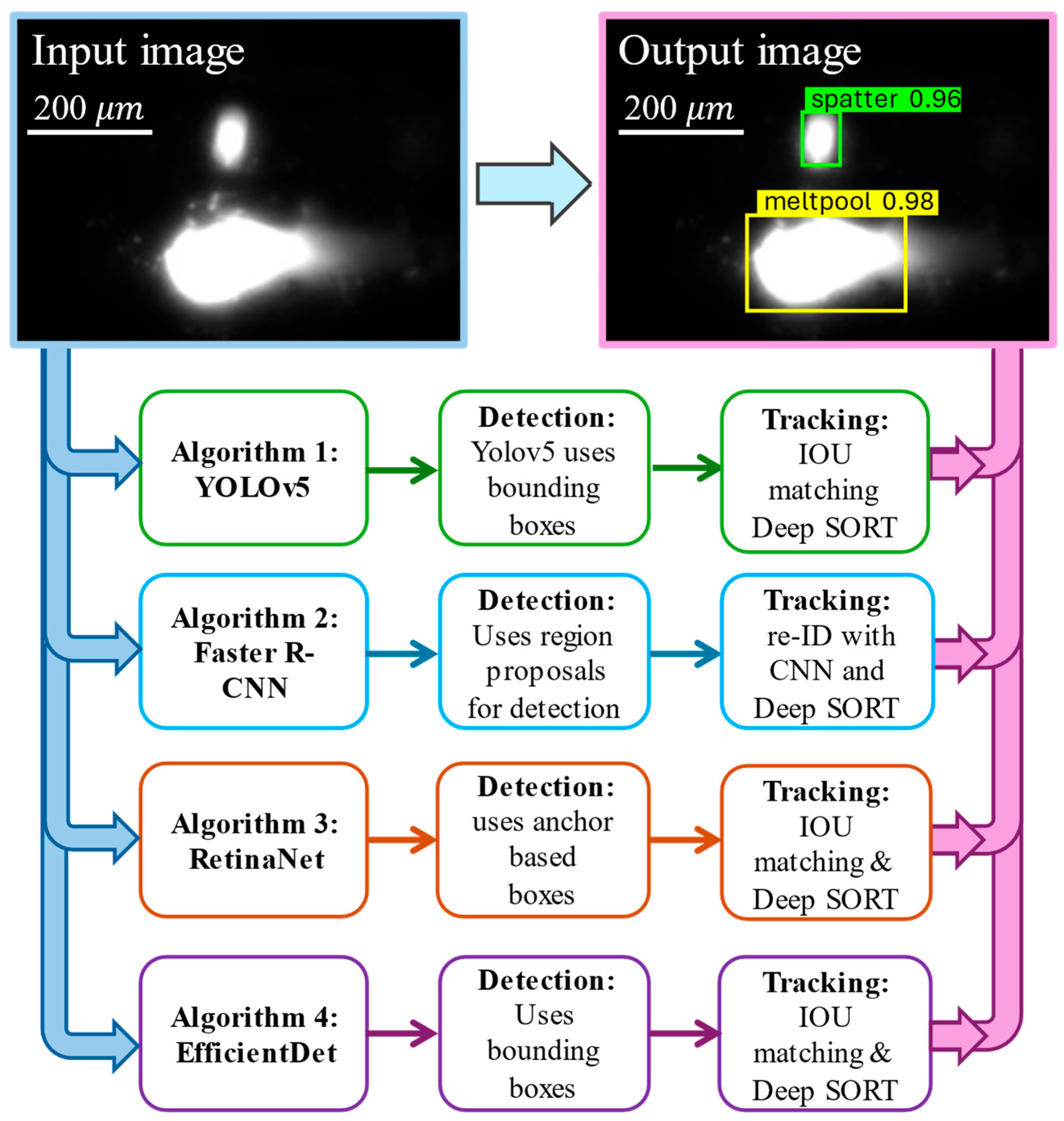 Metals 15 00840 g002