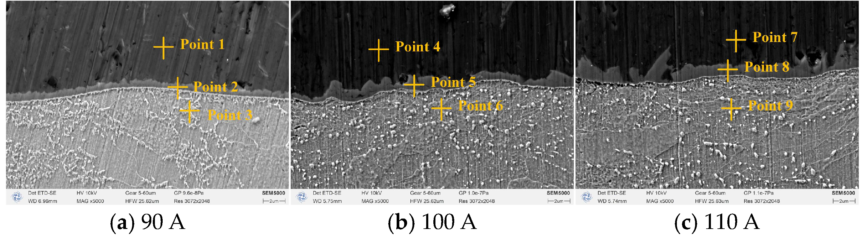 Metals 15 00844 g011