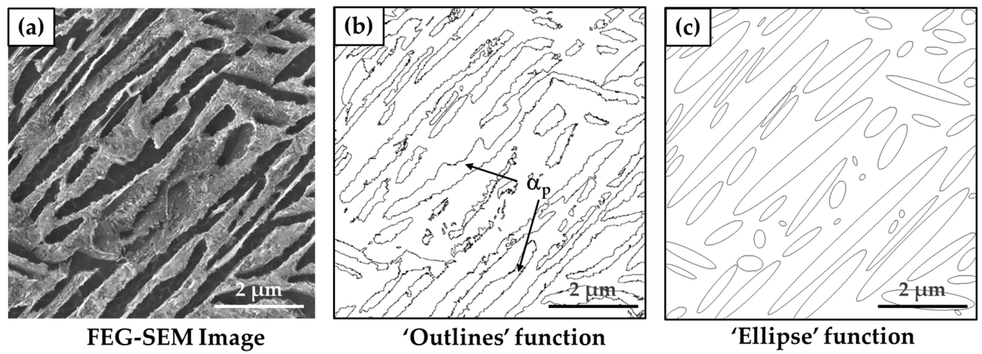 Metals 15 00849 g003