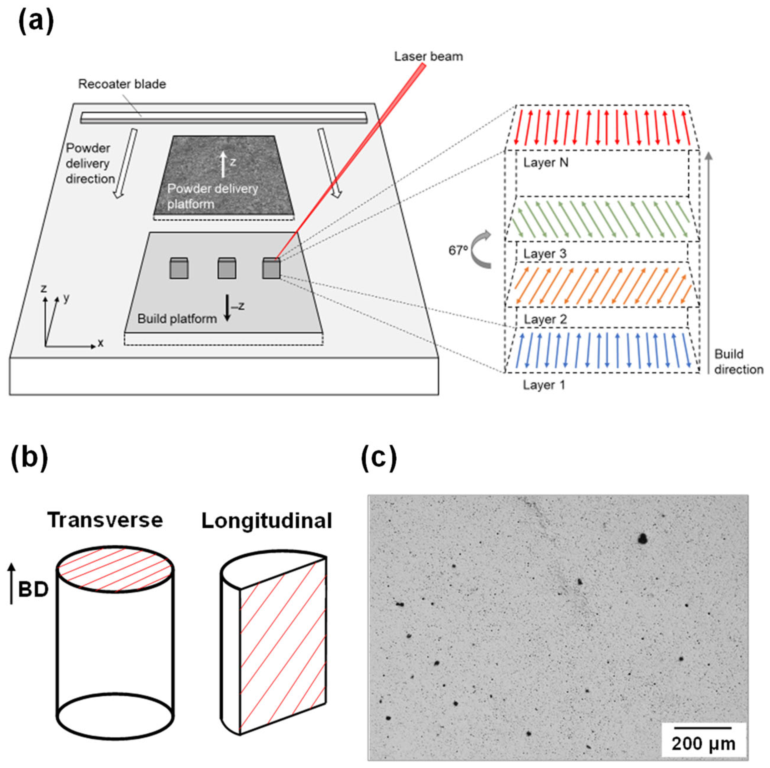 Metals 15 00853 g002