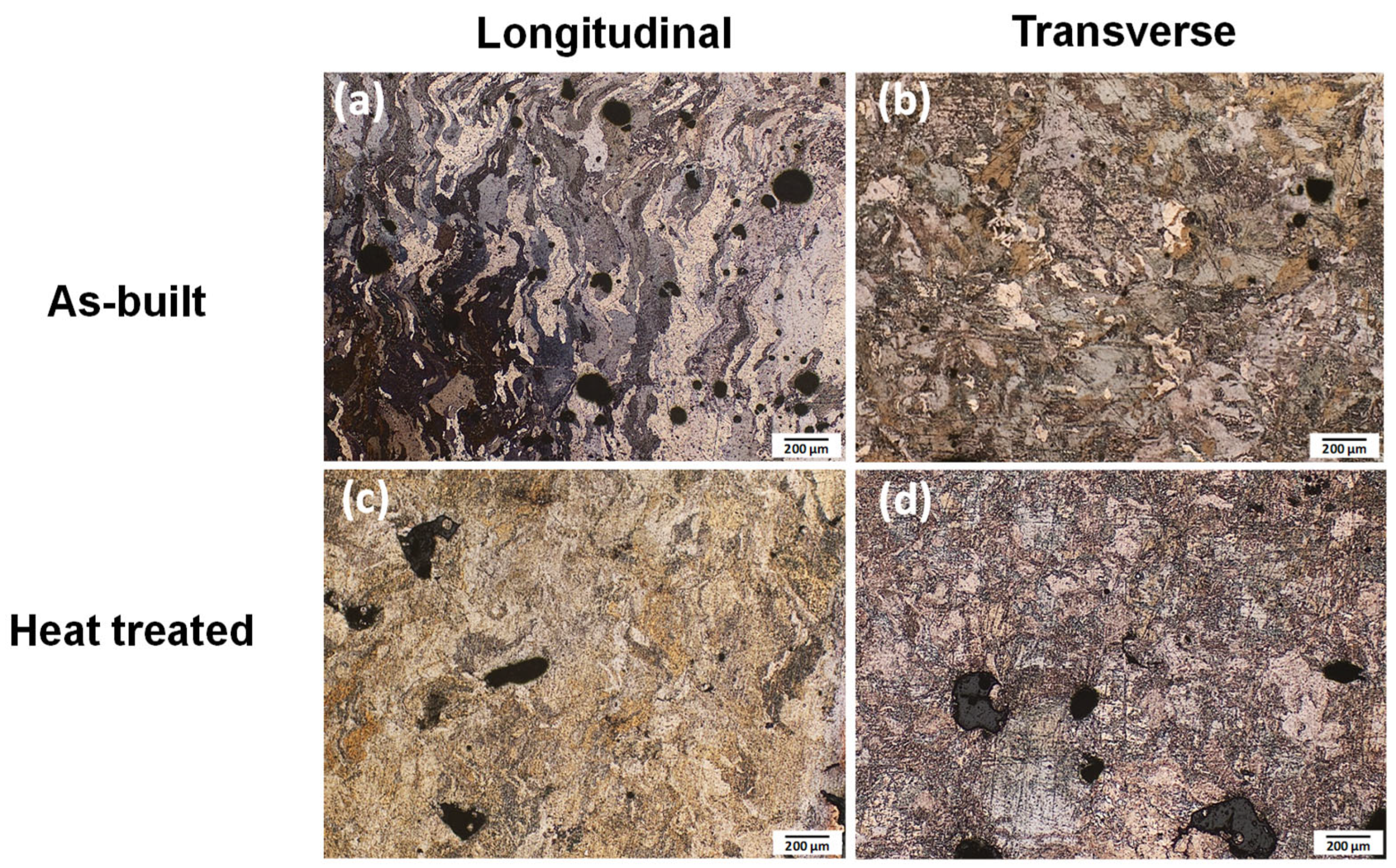 Metals 15 00853 g003