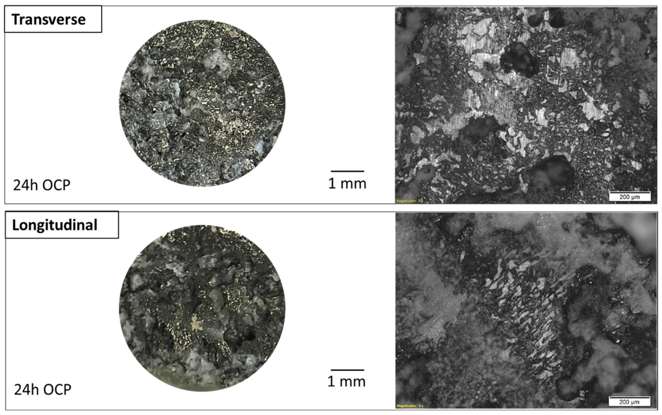 Metals 15 00853 g012