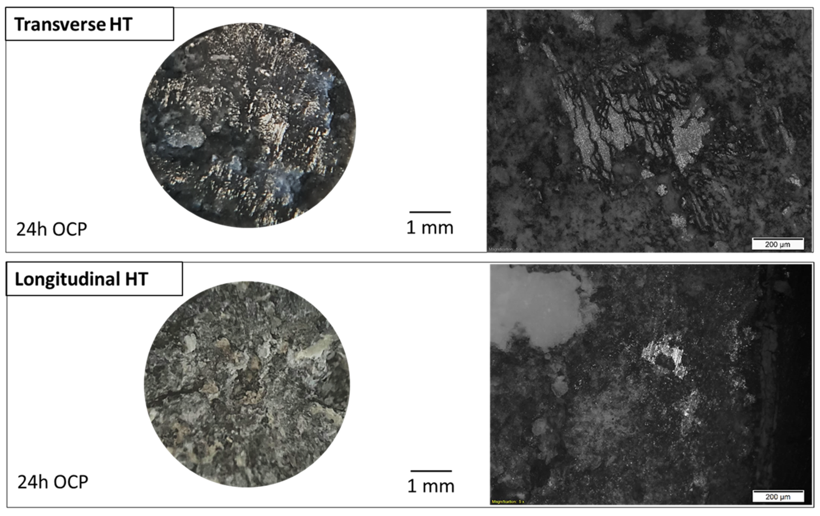 Metals 15 00853 g013