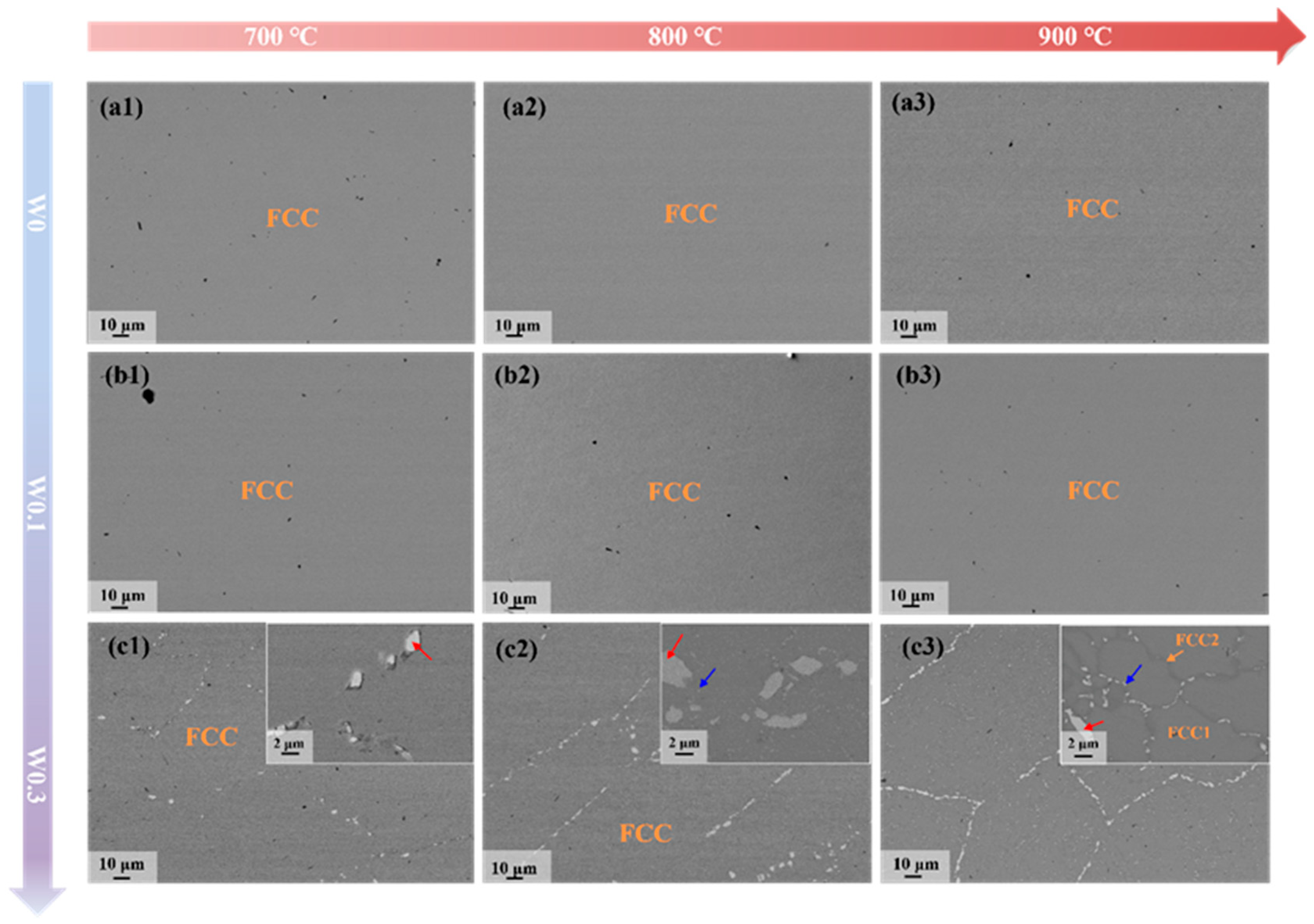 Metals 15 00854 g002