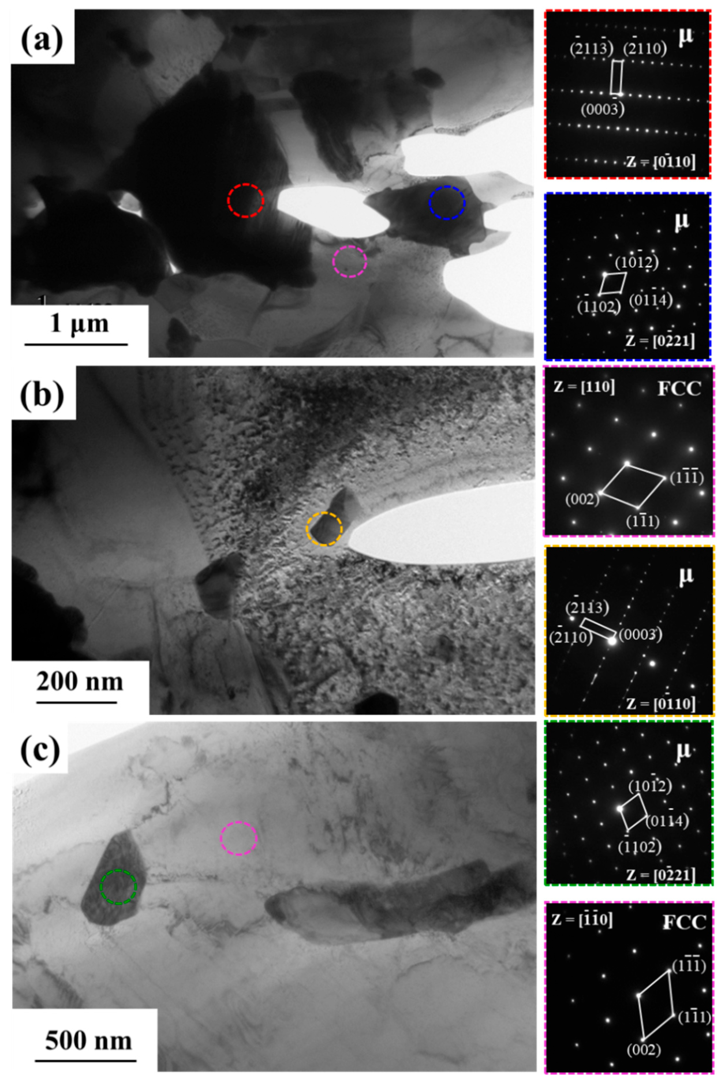 Metals 15 00854 g004