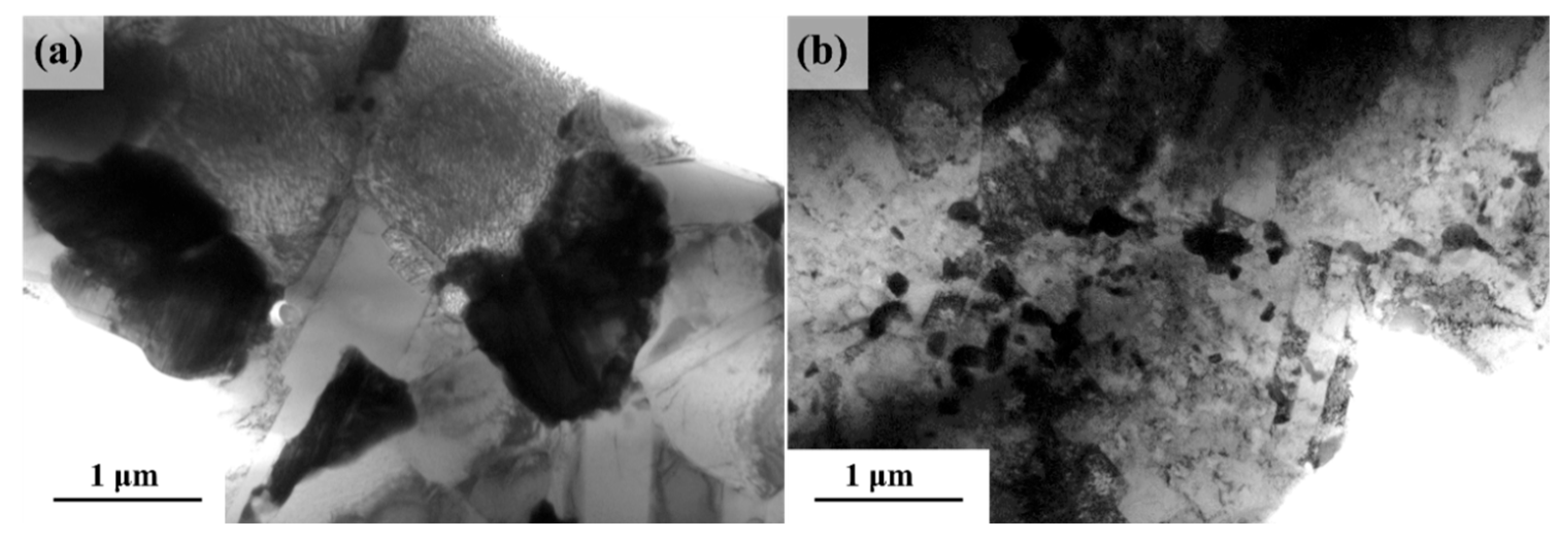 Metals 15 00854 g006