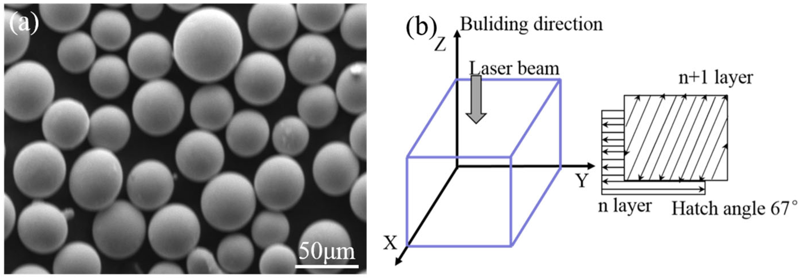 Metals 15 00859 g001