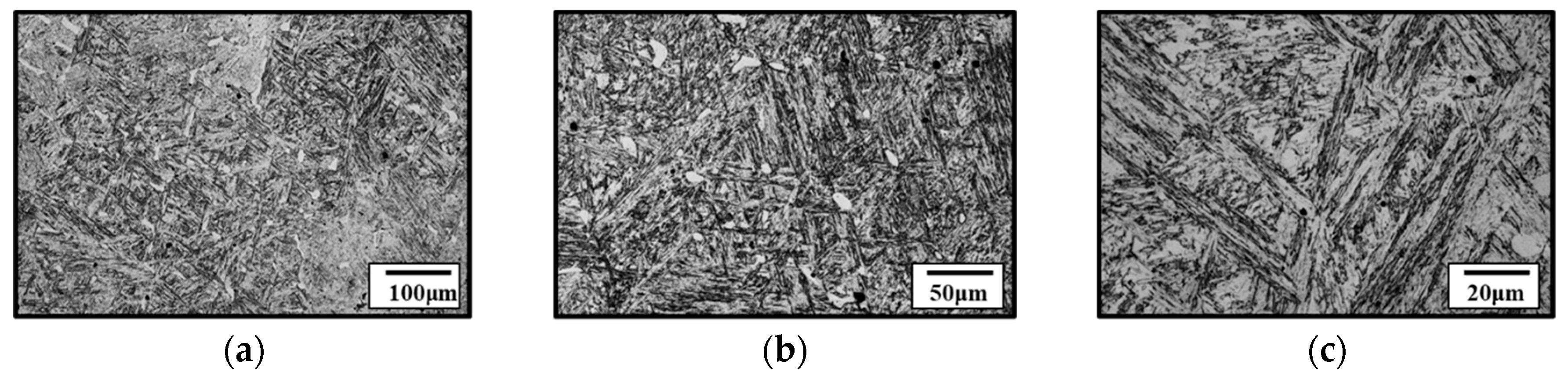 Metals 15 00863 g003a