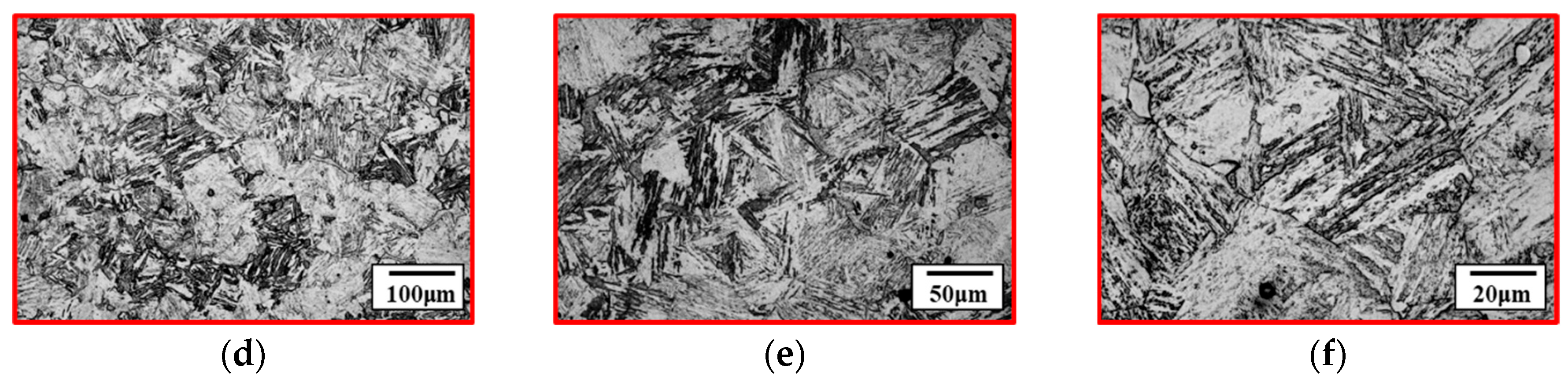 Metals 15 00863 g003b