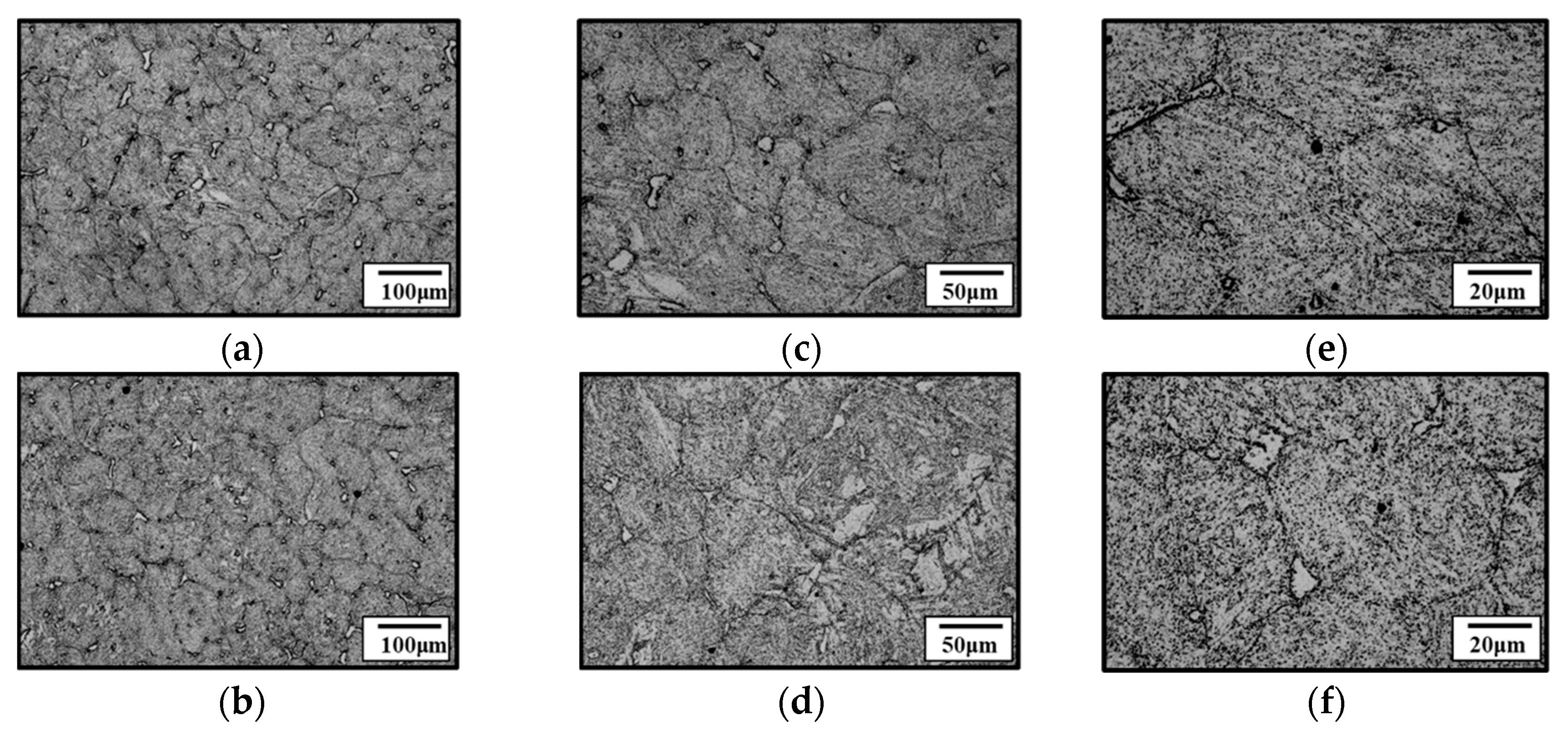 Metals 15 00863 g007