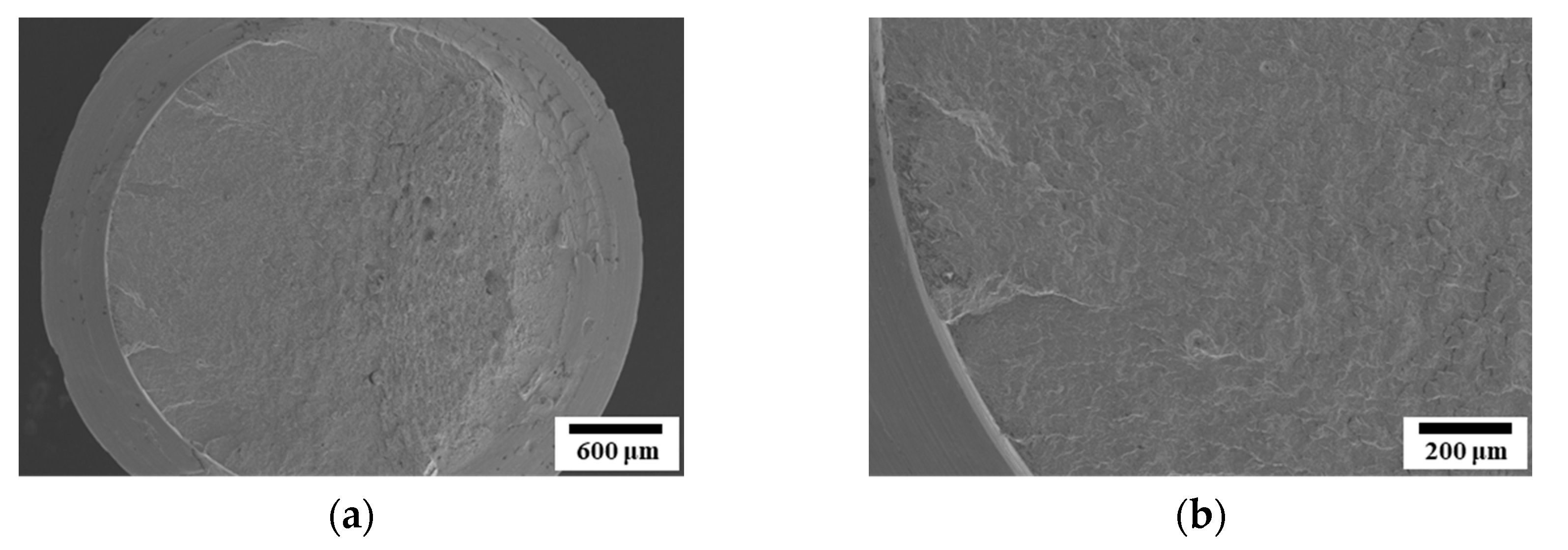 Metals 15 00863 g020a