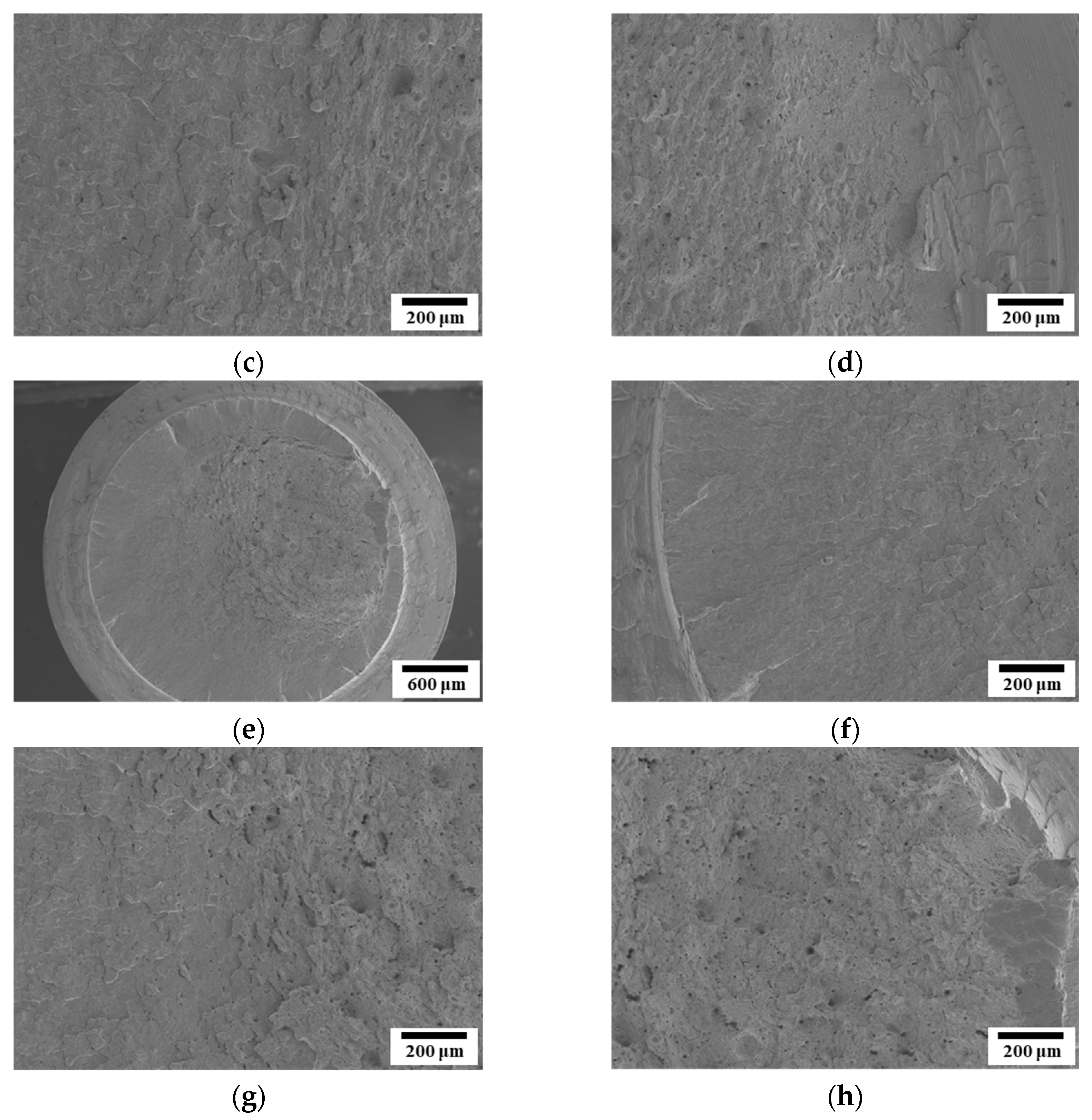 Metals 15 00863 g020b