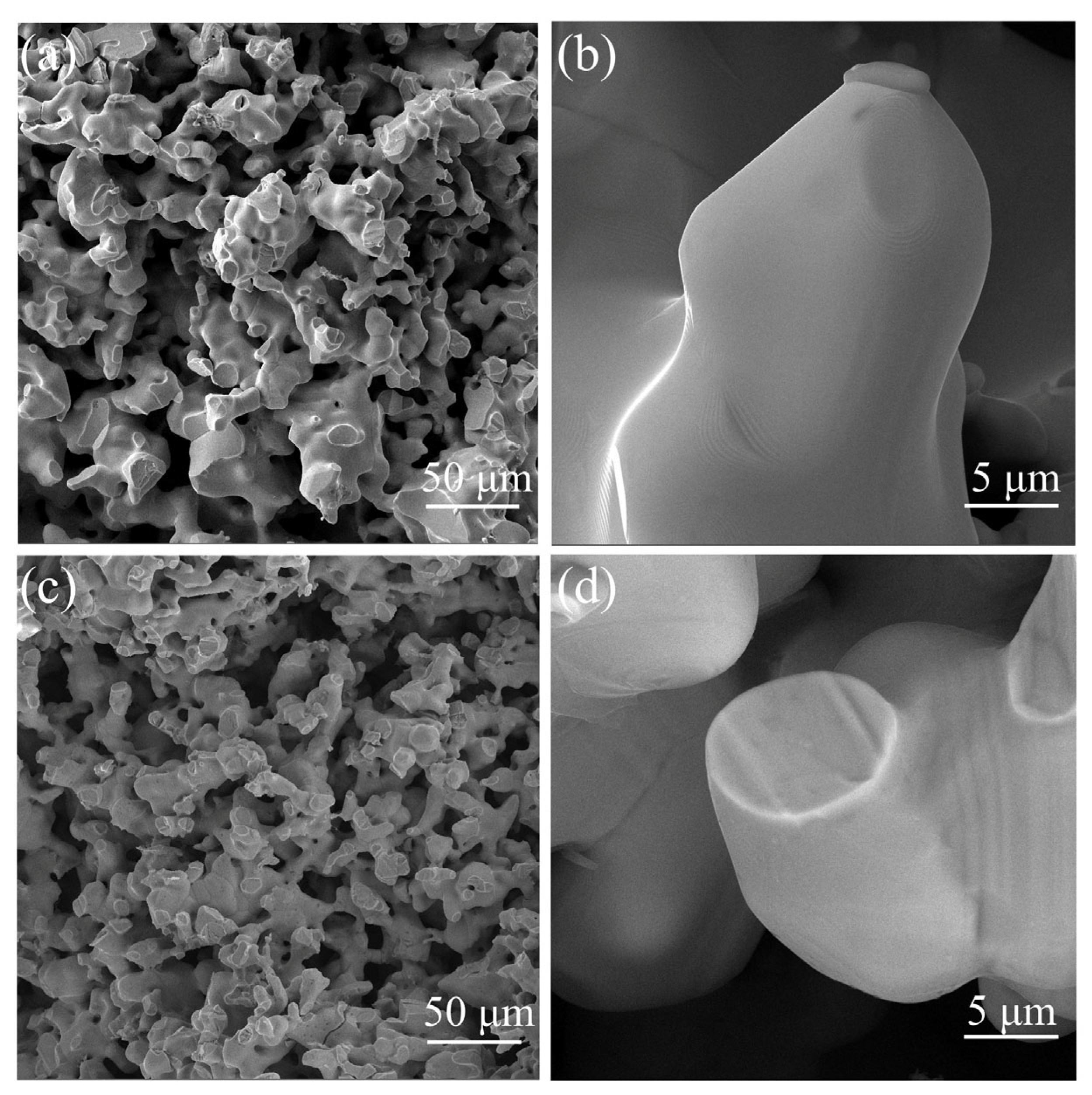 Metals 15 00865 g007