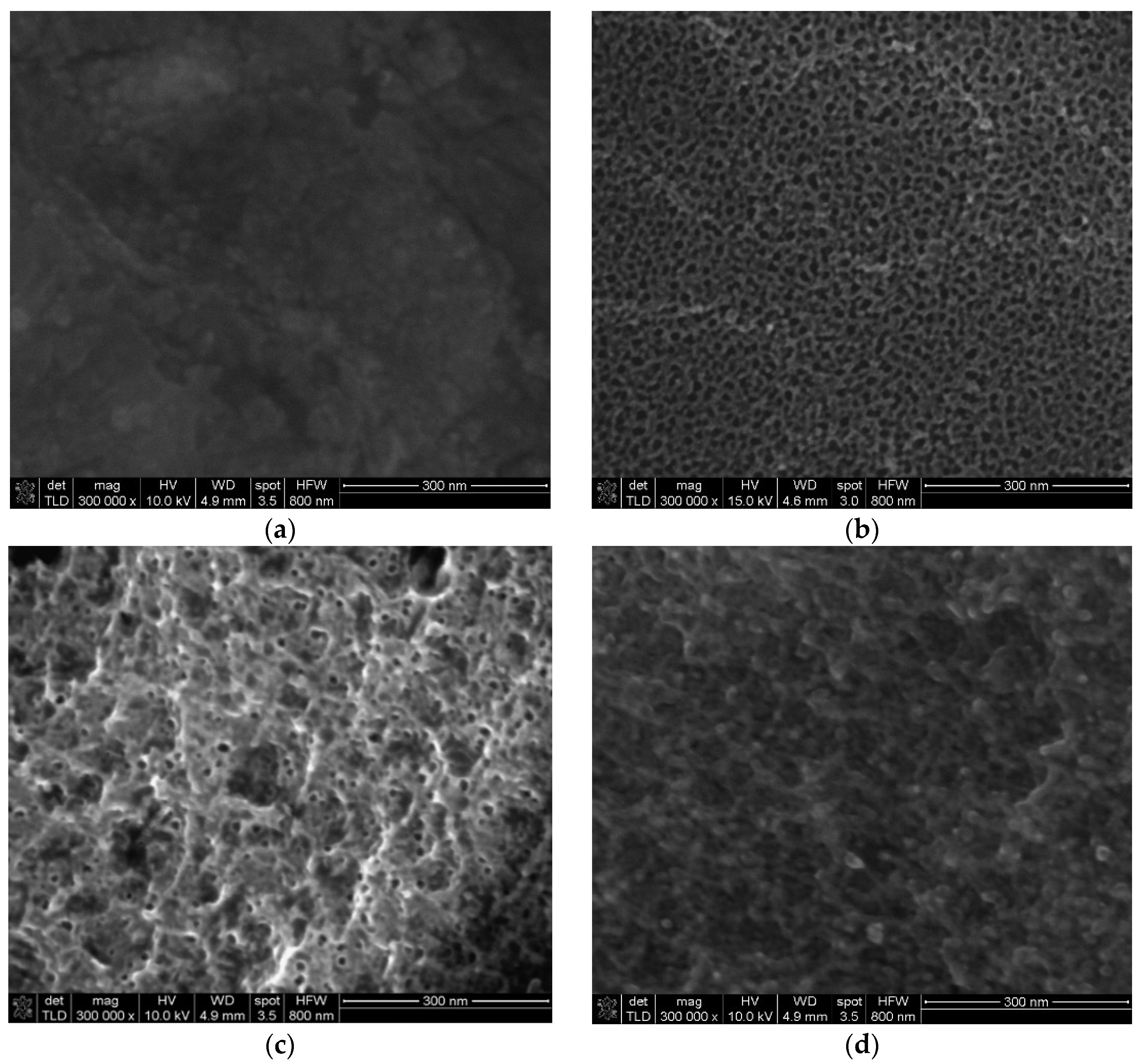 Metals 15 00884 g004