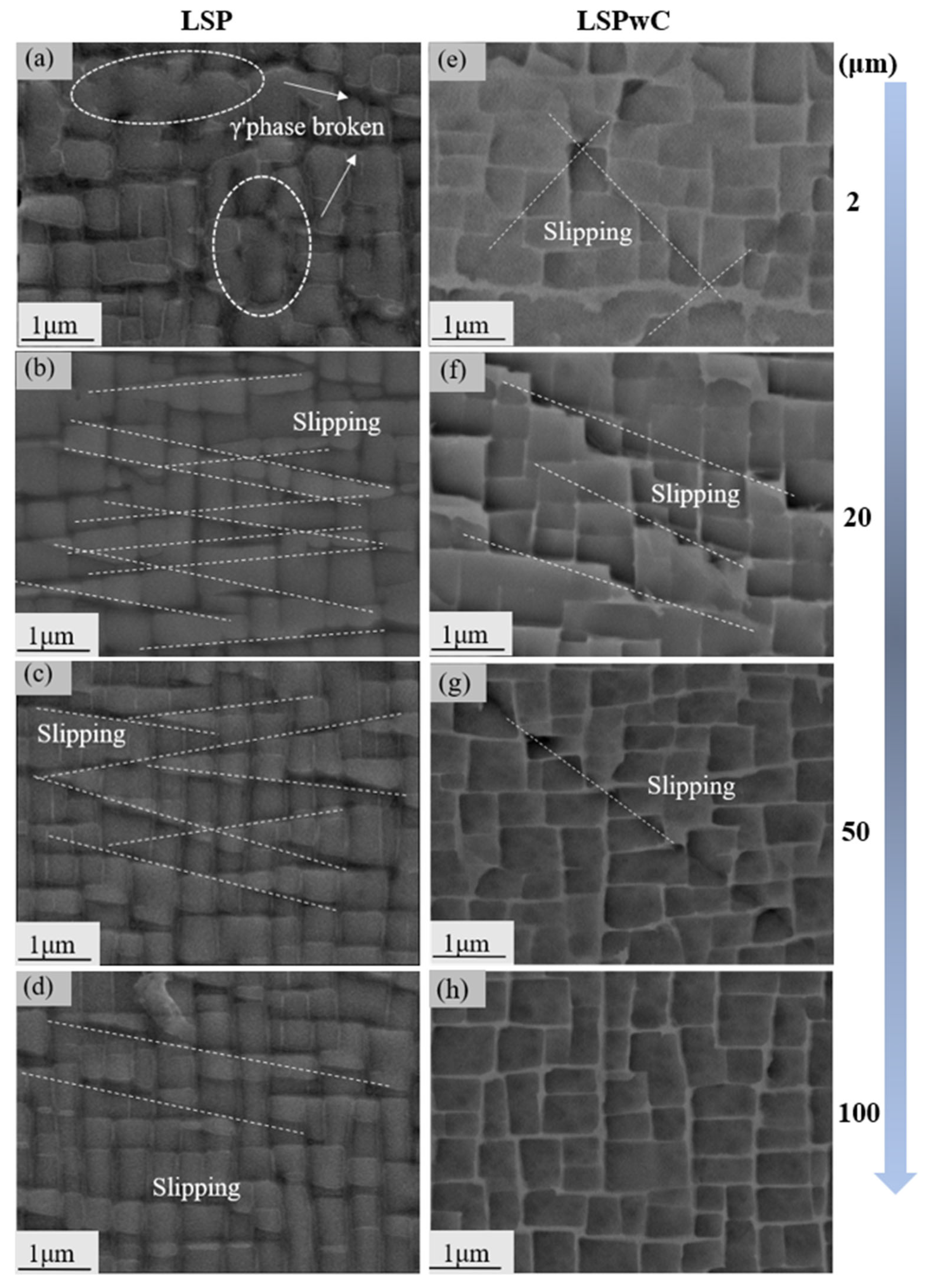 Metals 15 00889 g007