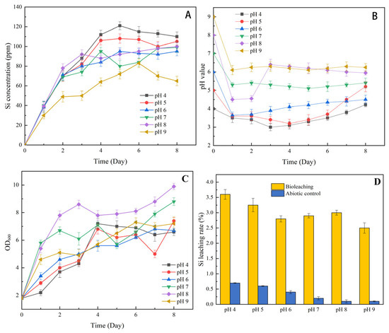 Bio-Desilication of Coal Fly Ash and the Impacts on Critical Metal Recovery