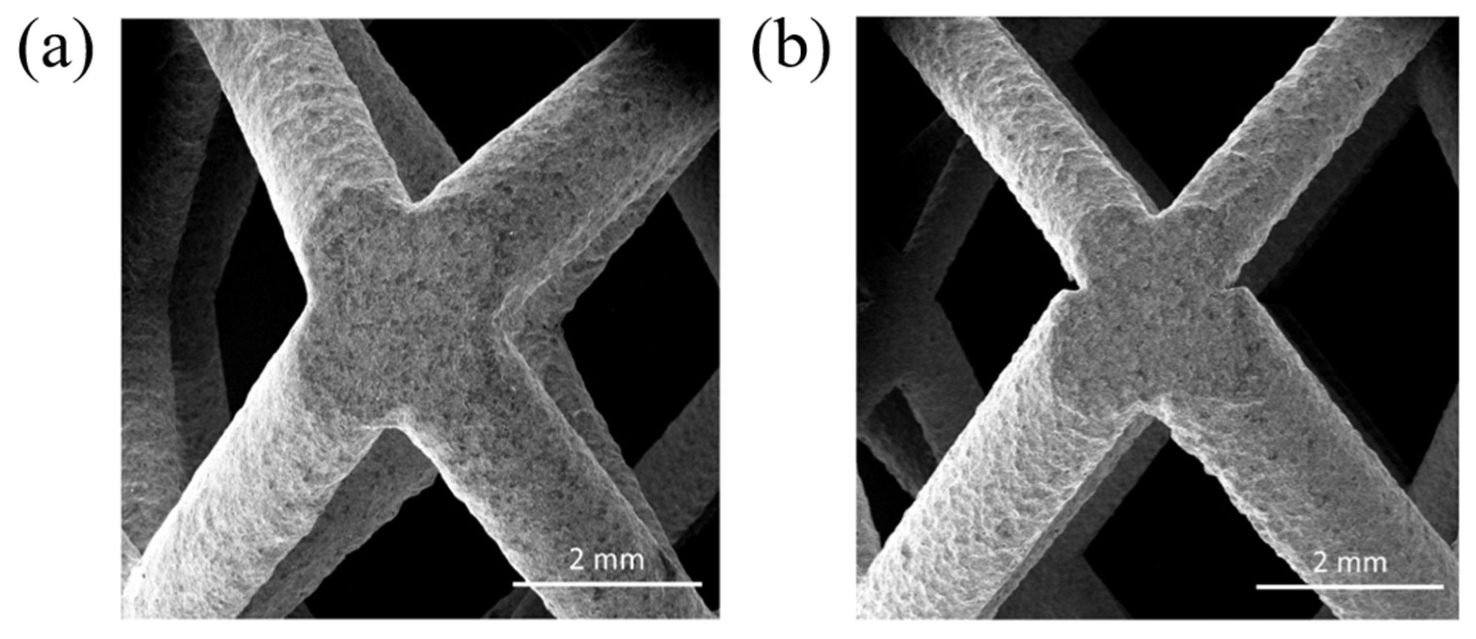 Metals 15 00895 g003