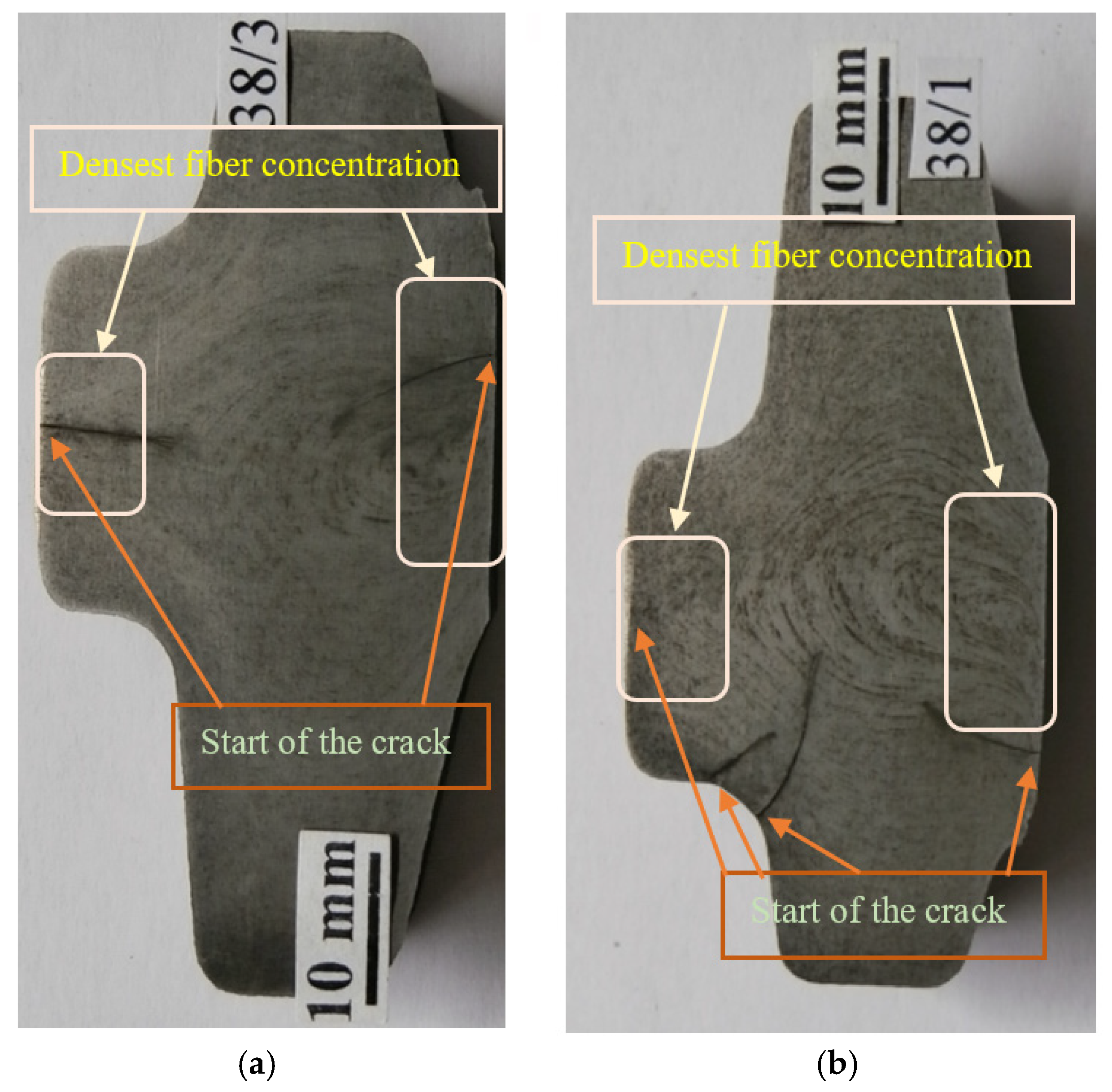 Metals 15 00900 g005