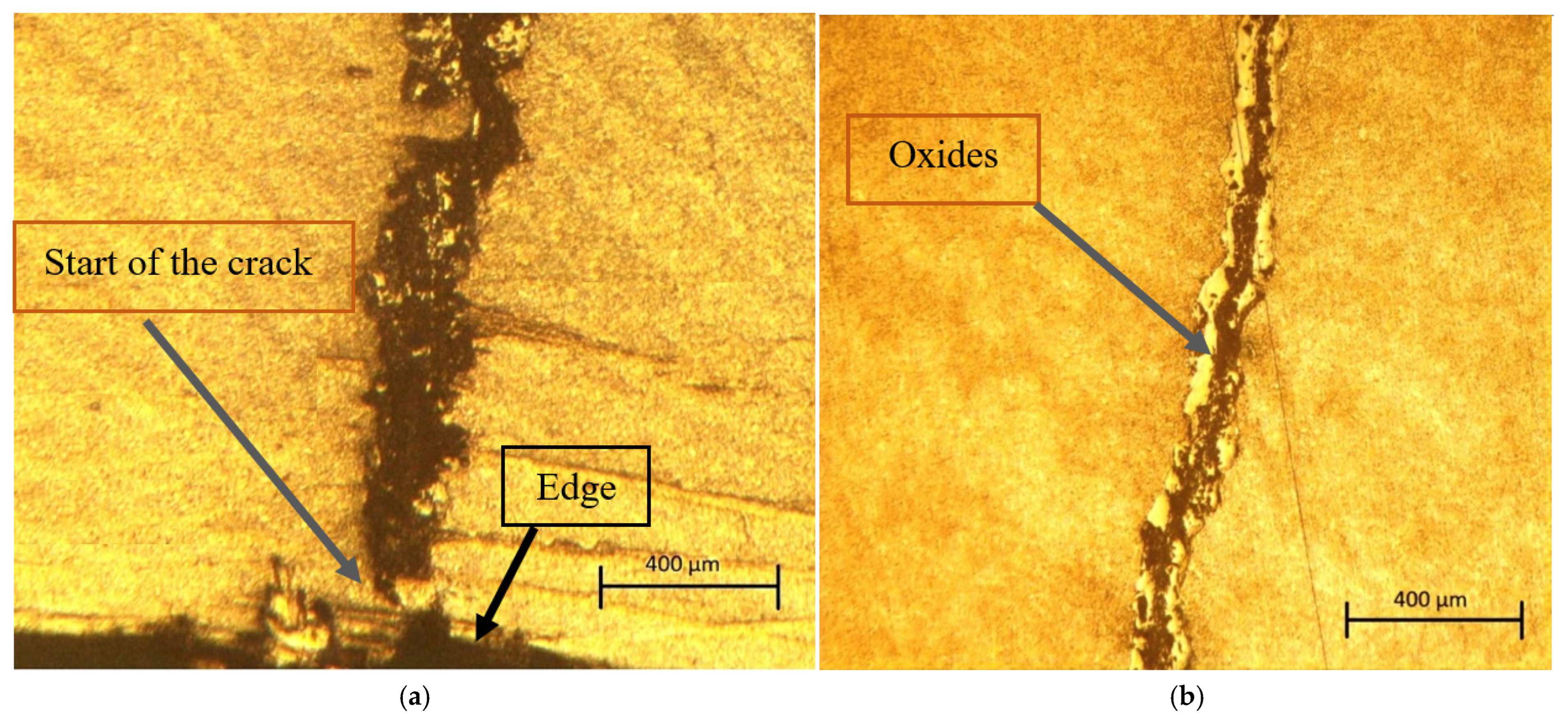 Metals 15 00900 g006