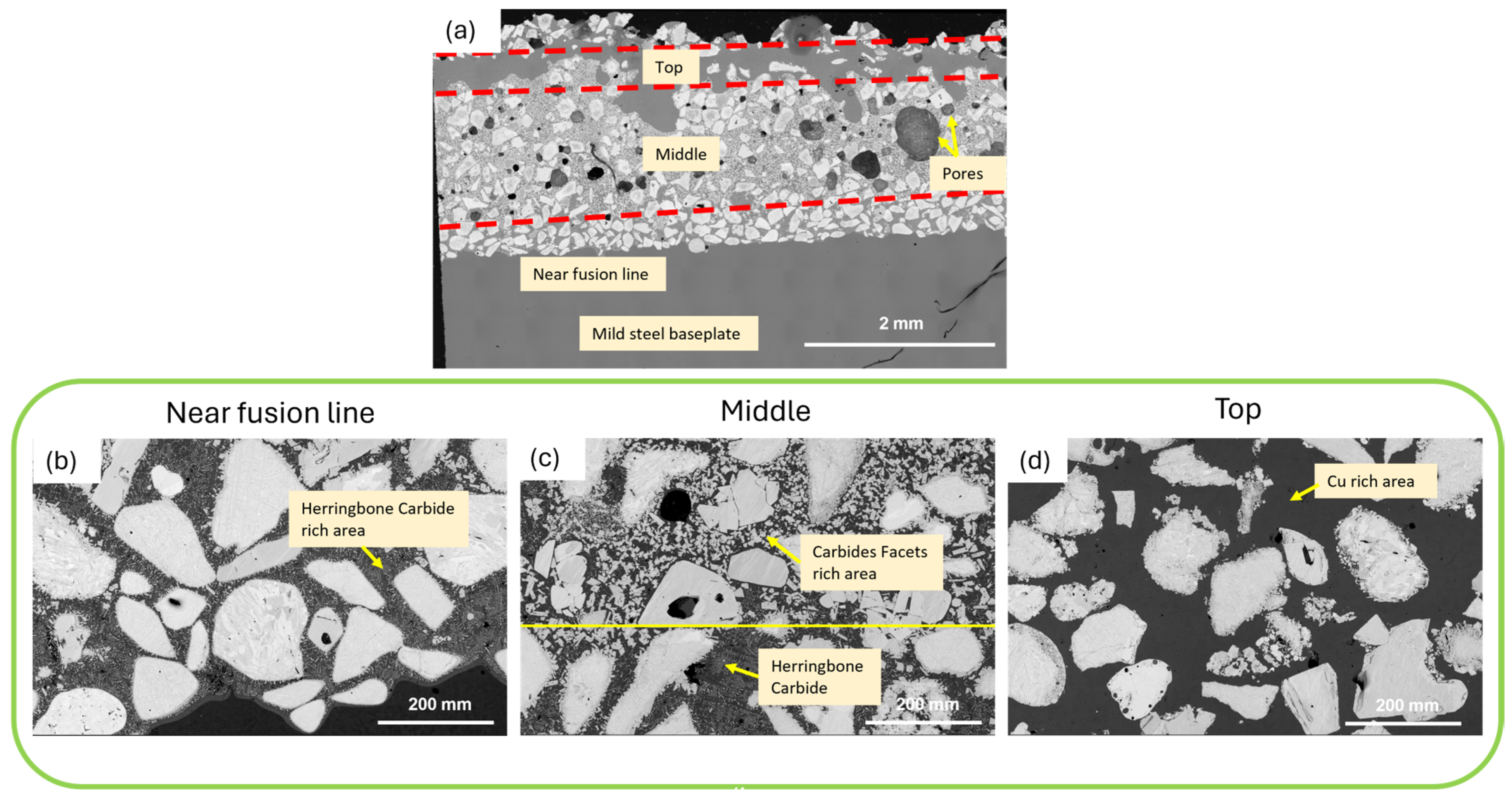 Metals 15 00902 g003