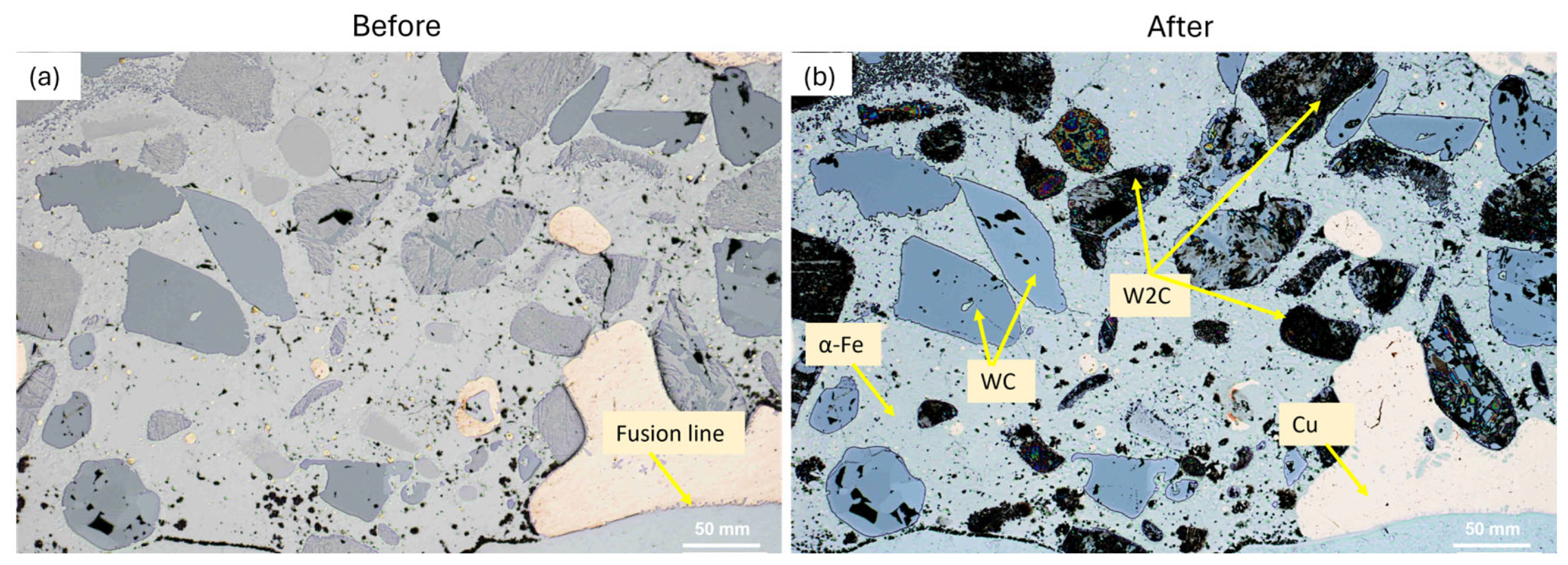 Metals 15 00902 g006