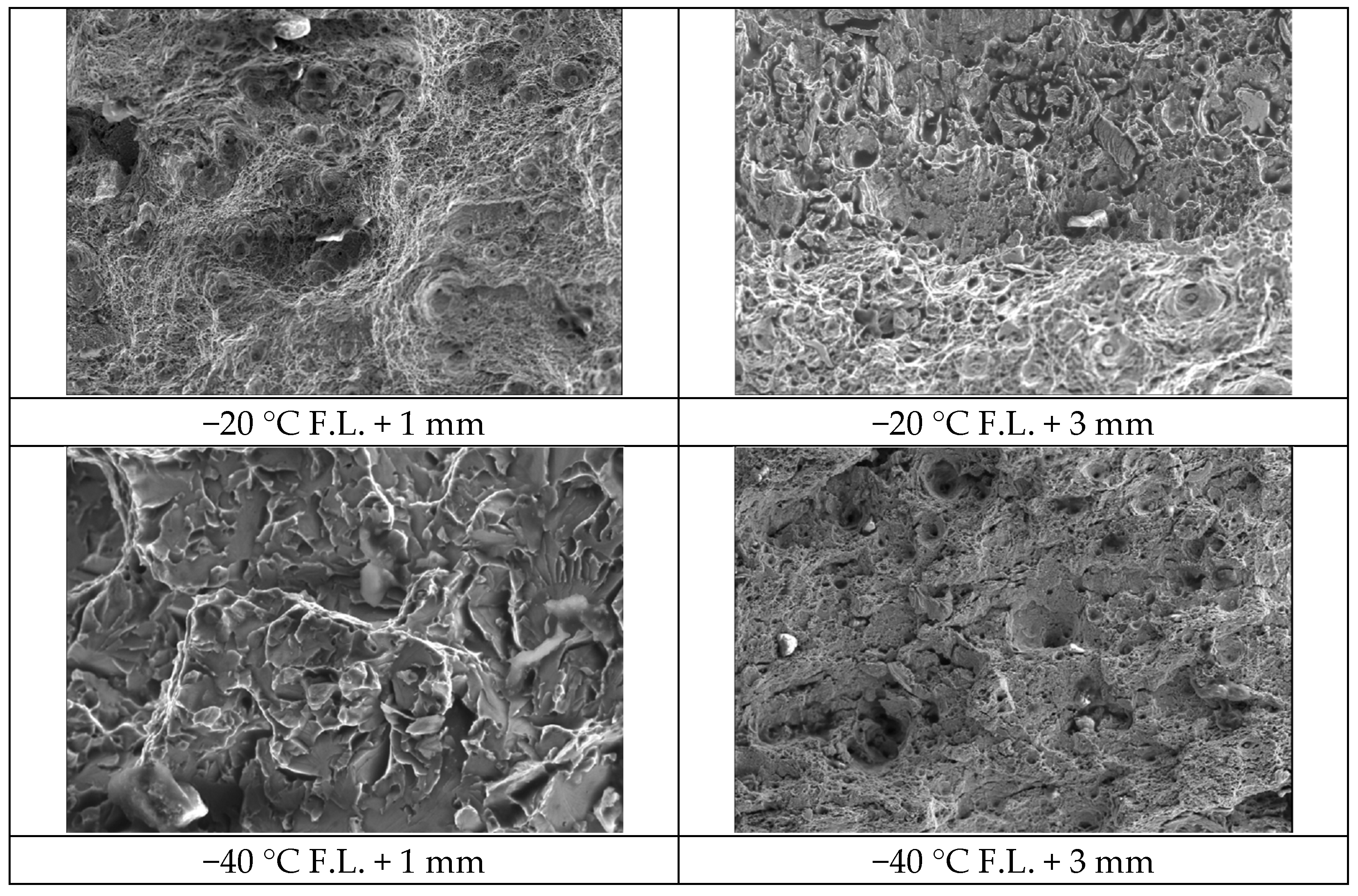Metals 15 00916 g010