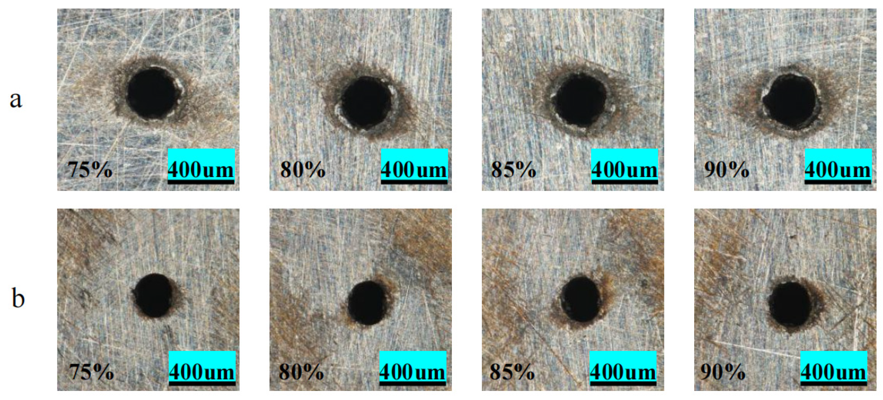 Metals 15 00917 g010