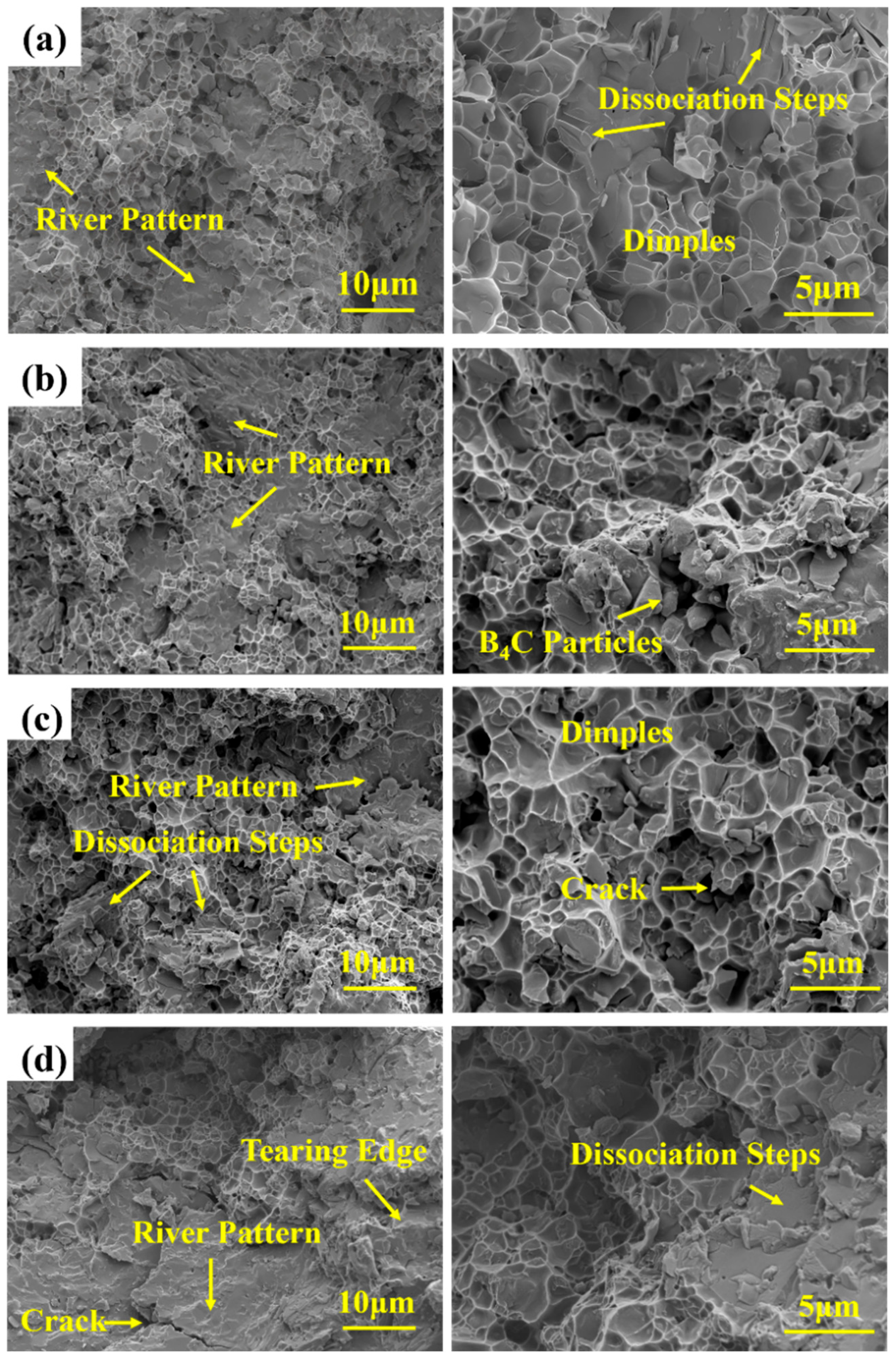 Metals 15 00919 g006