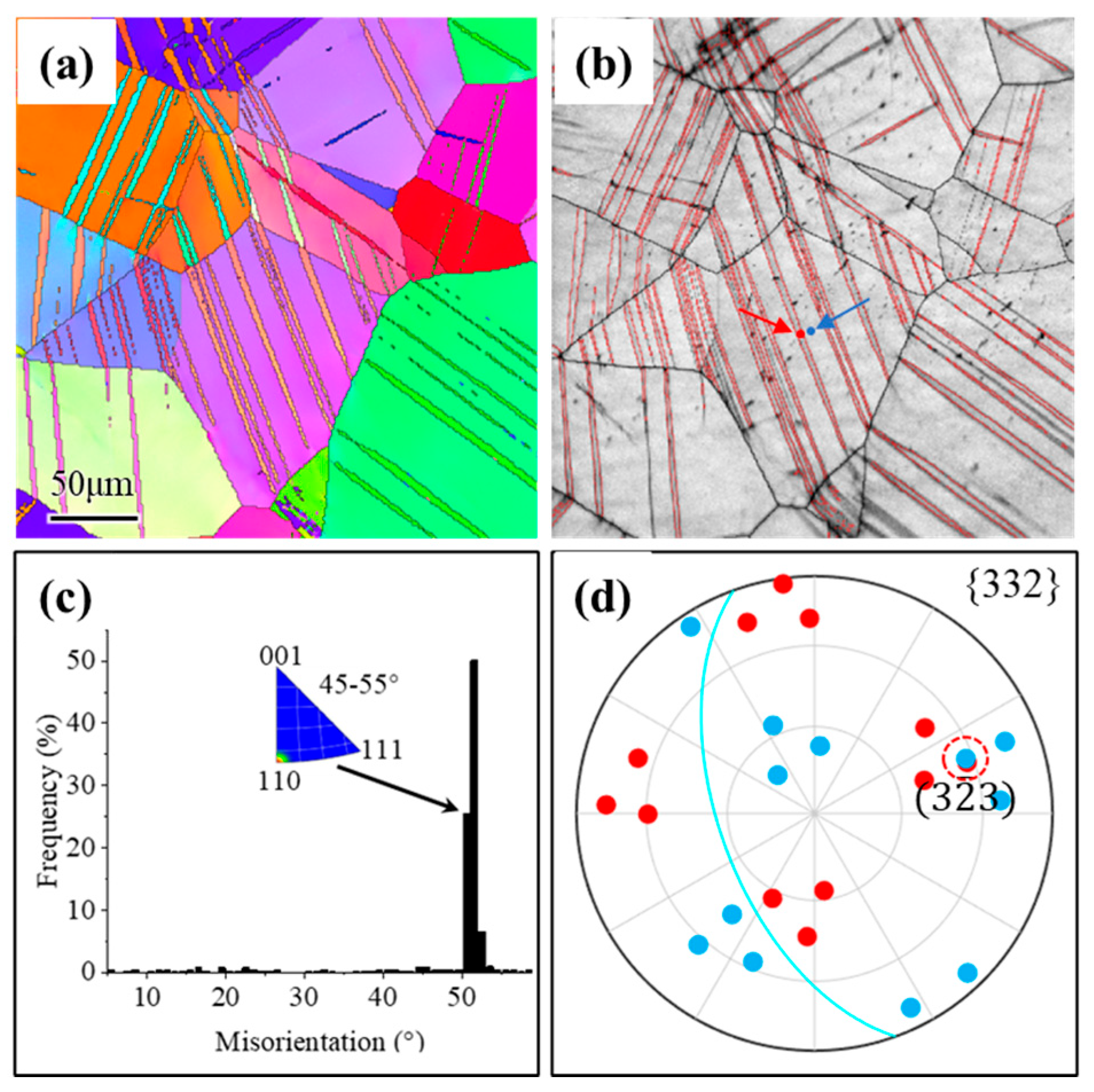 Metals 15 00920 g003